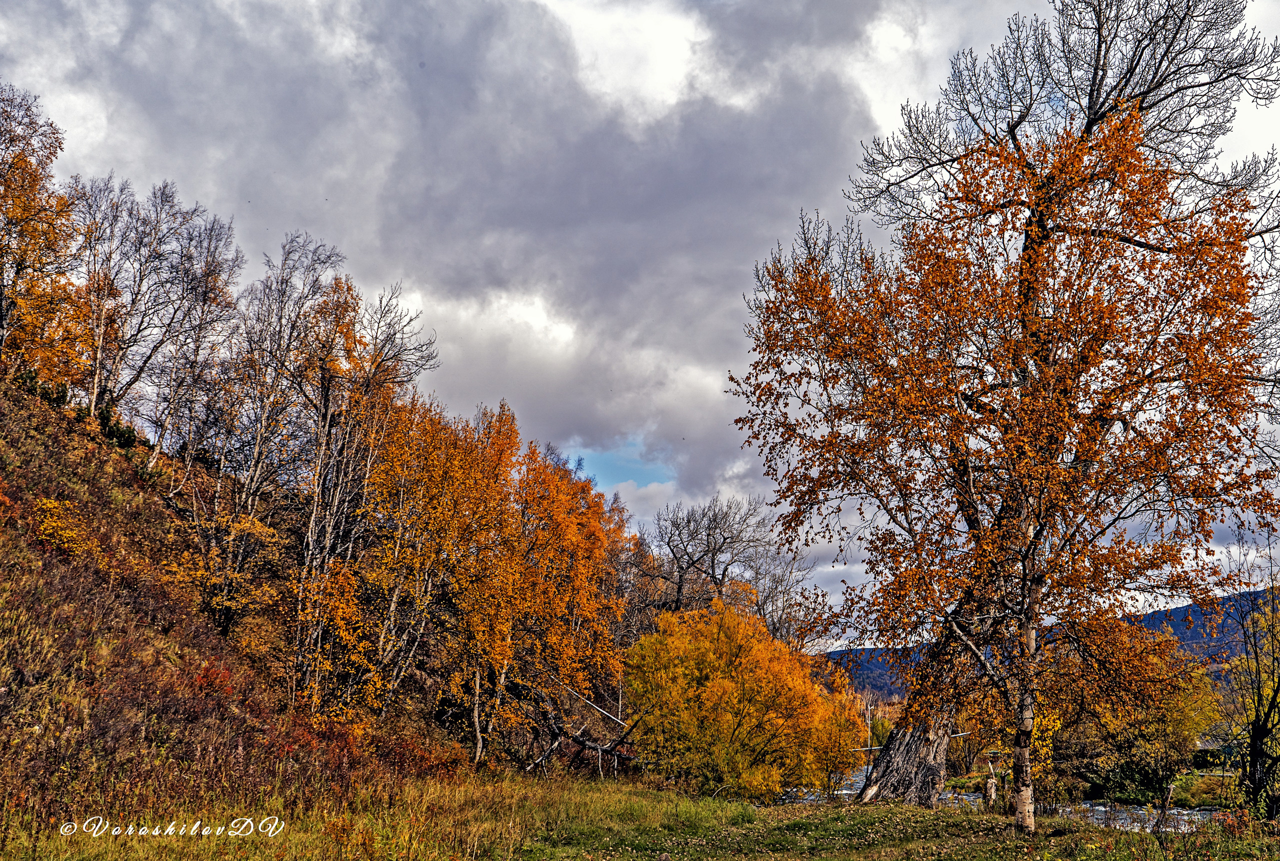 Осень. Фотограф Ворошилов Дмитрий. Эссо. Камчатка