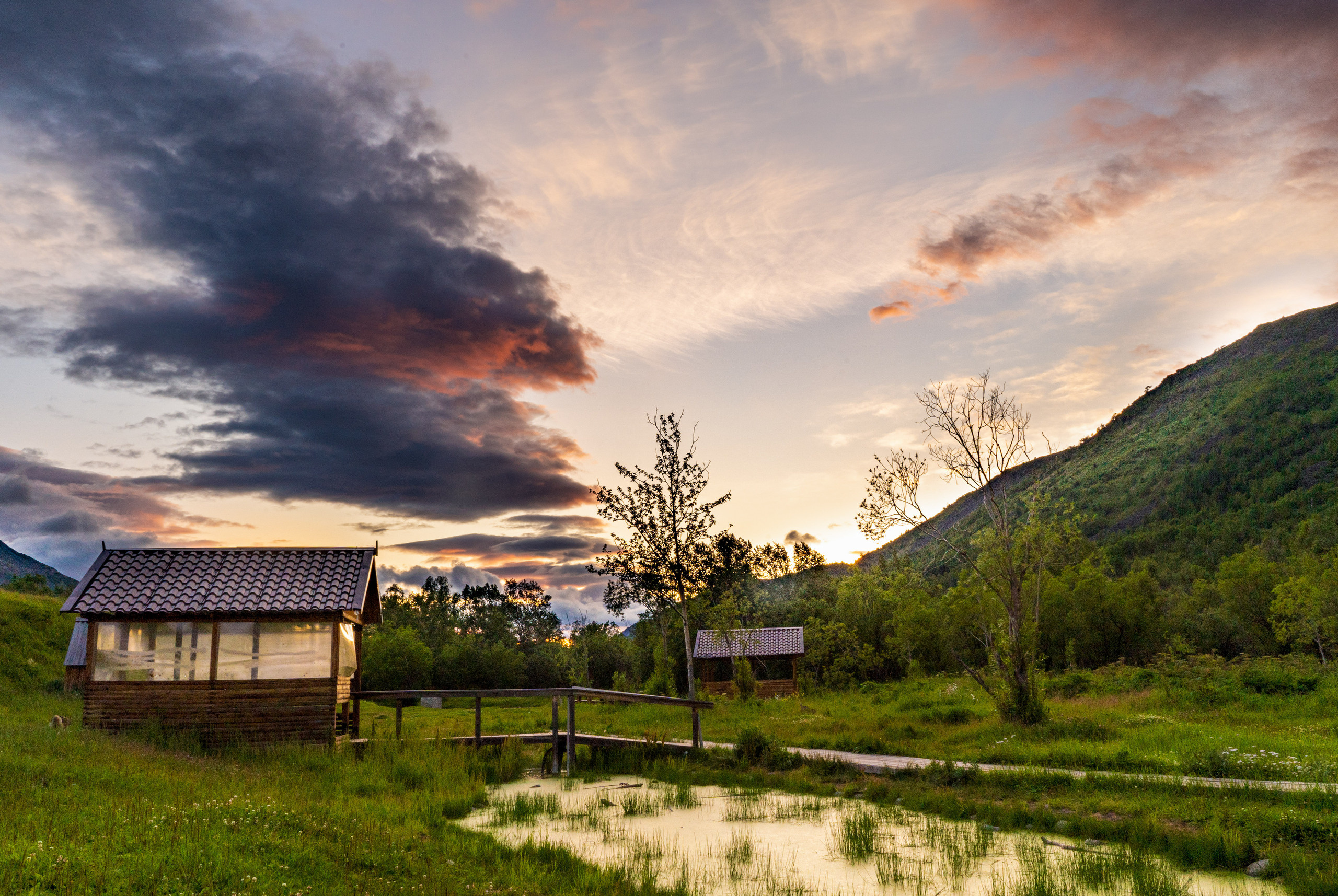 Лето. Фотограф Ворошилов Дмитрий. Эссо. Камчатка