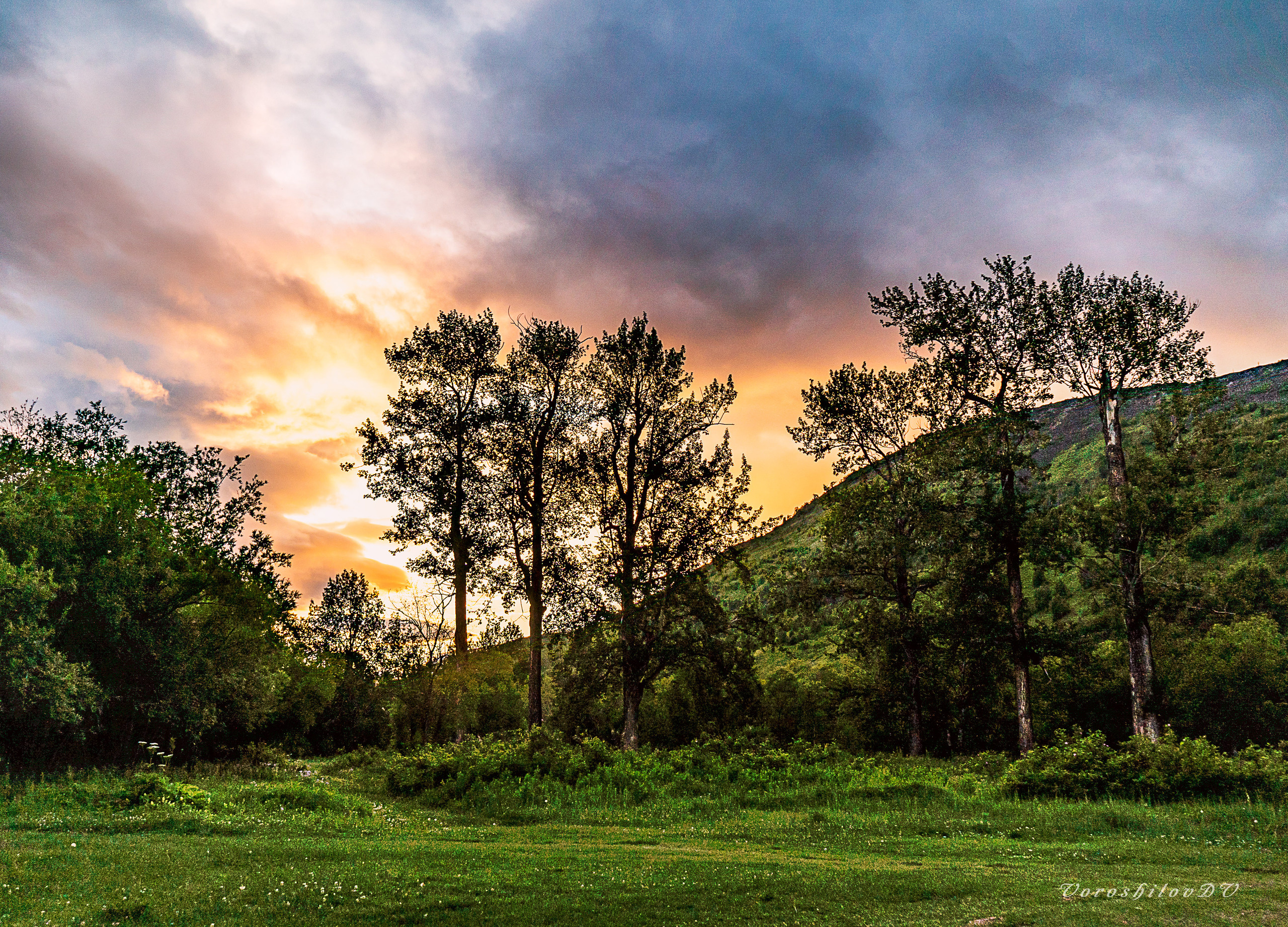 Лето. Фотограф Ворошилов Дмитрий. Эссо. Камчатка