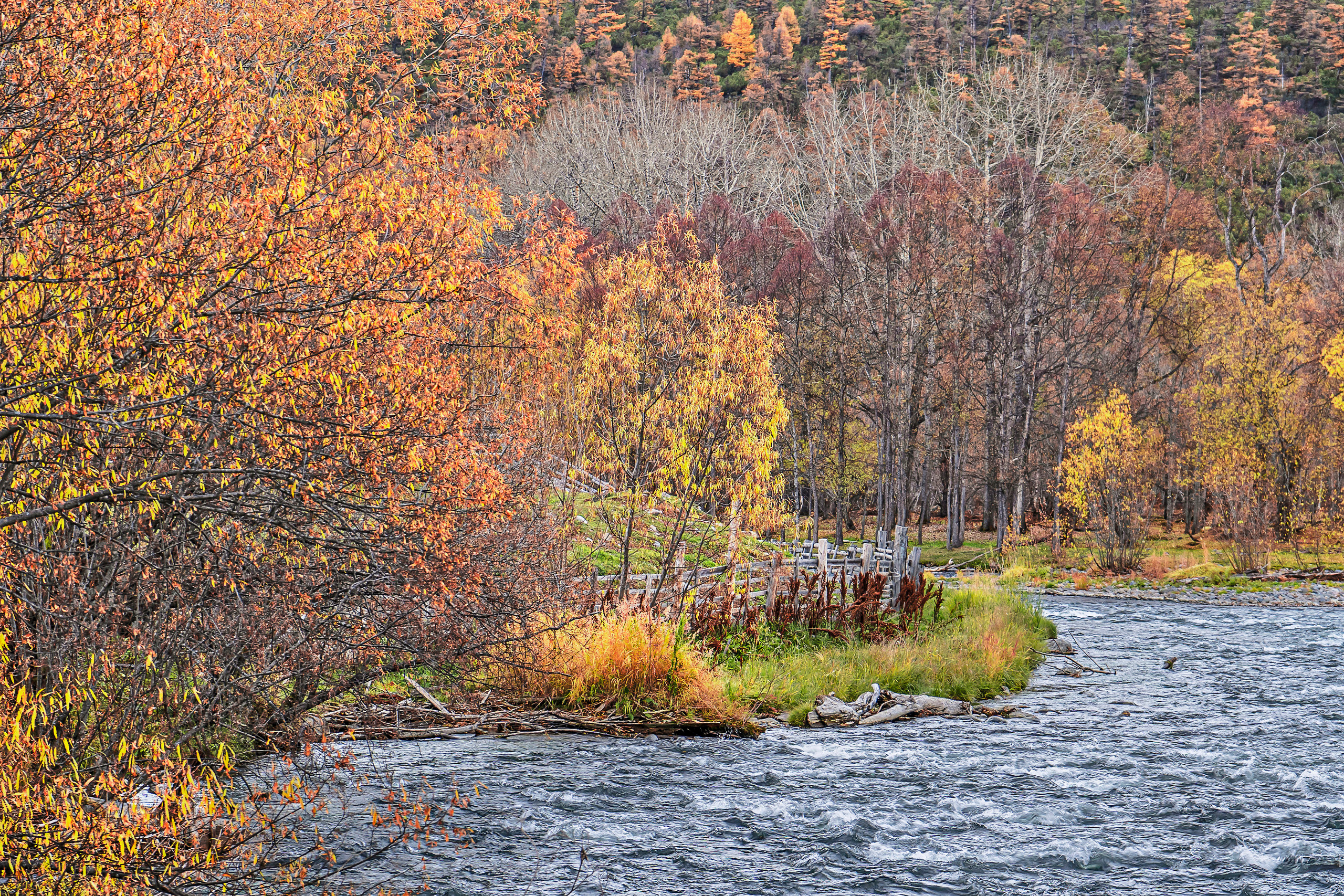 Осень. Фотограф Ворошилов Дмитрий. Эссо. Камчатка
