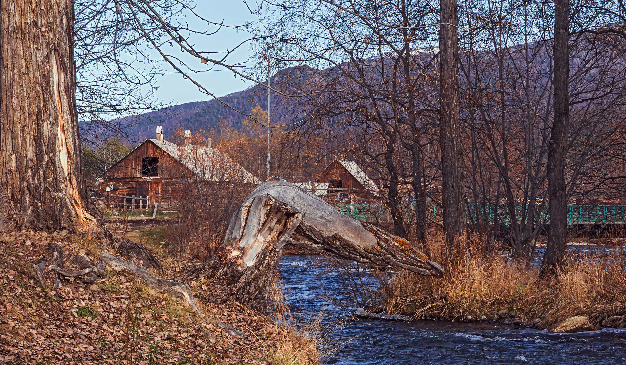 Осень. Фотограф Ворошилов Дмитрий. Эссо. Камчатка