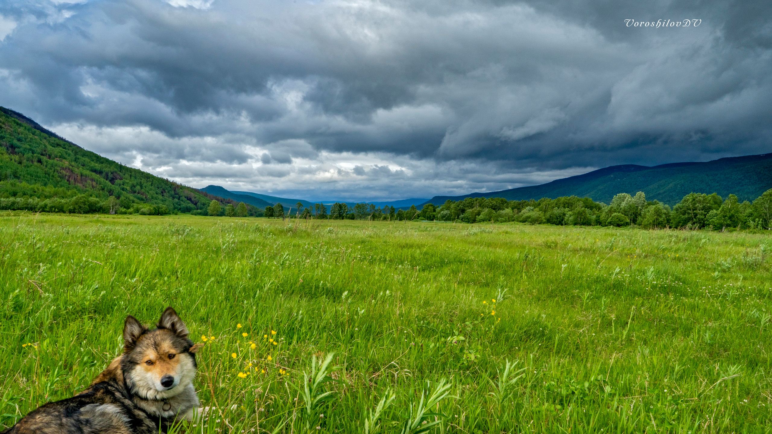 Лето. Фотограф Ворошилов Дмитрий. Эссо. Камчатка