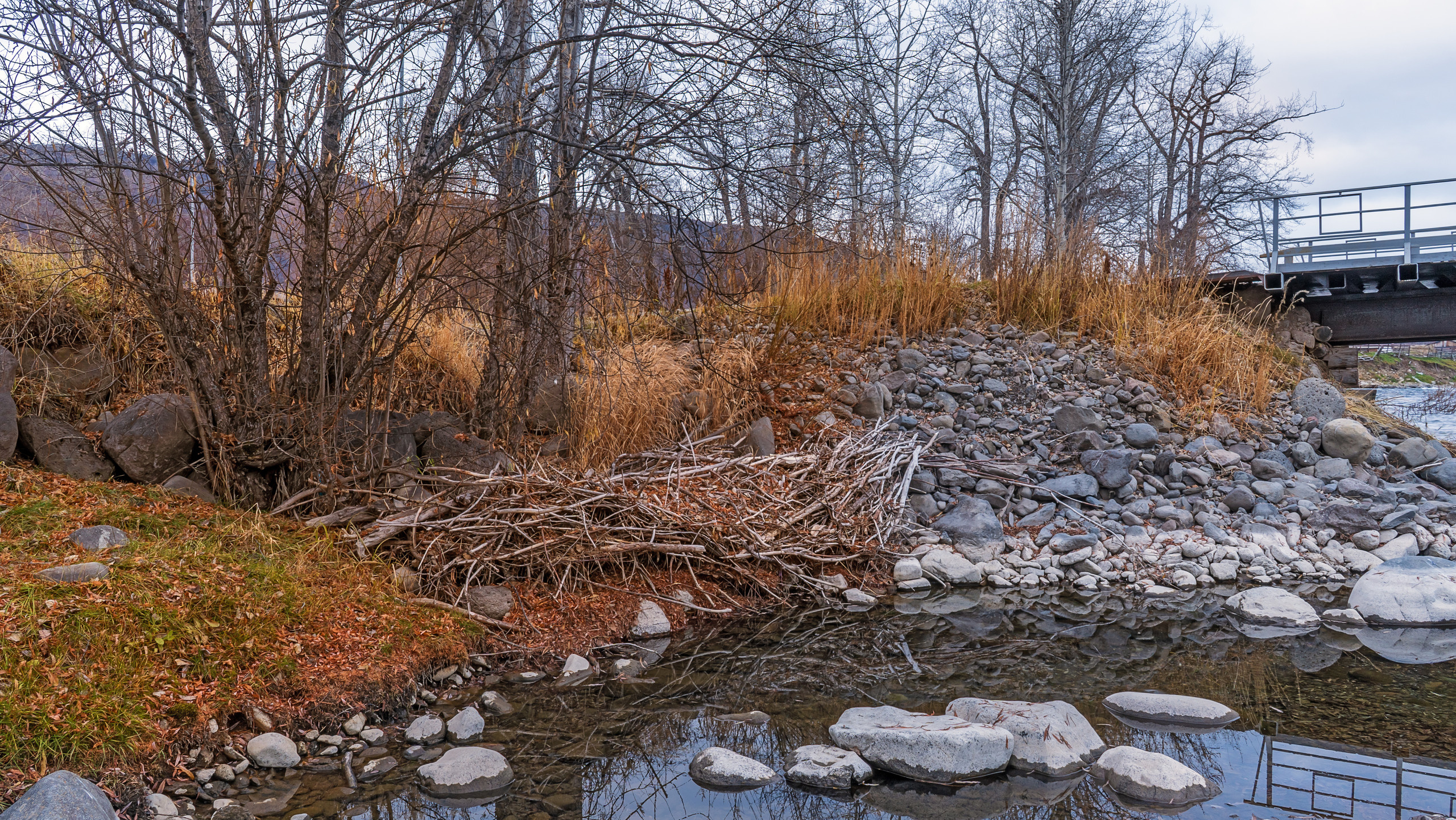 Осень. Фотограф Ворошилов Дмитрий. Эссо. Камчатка