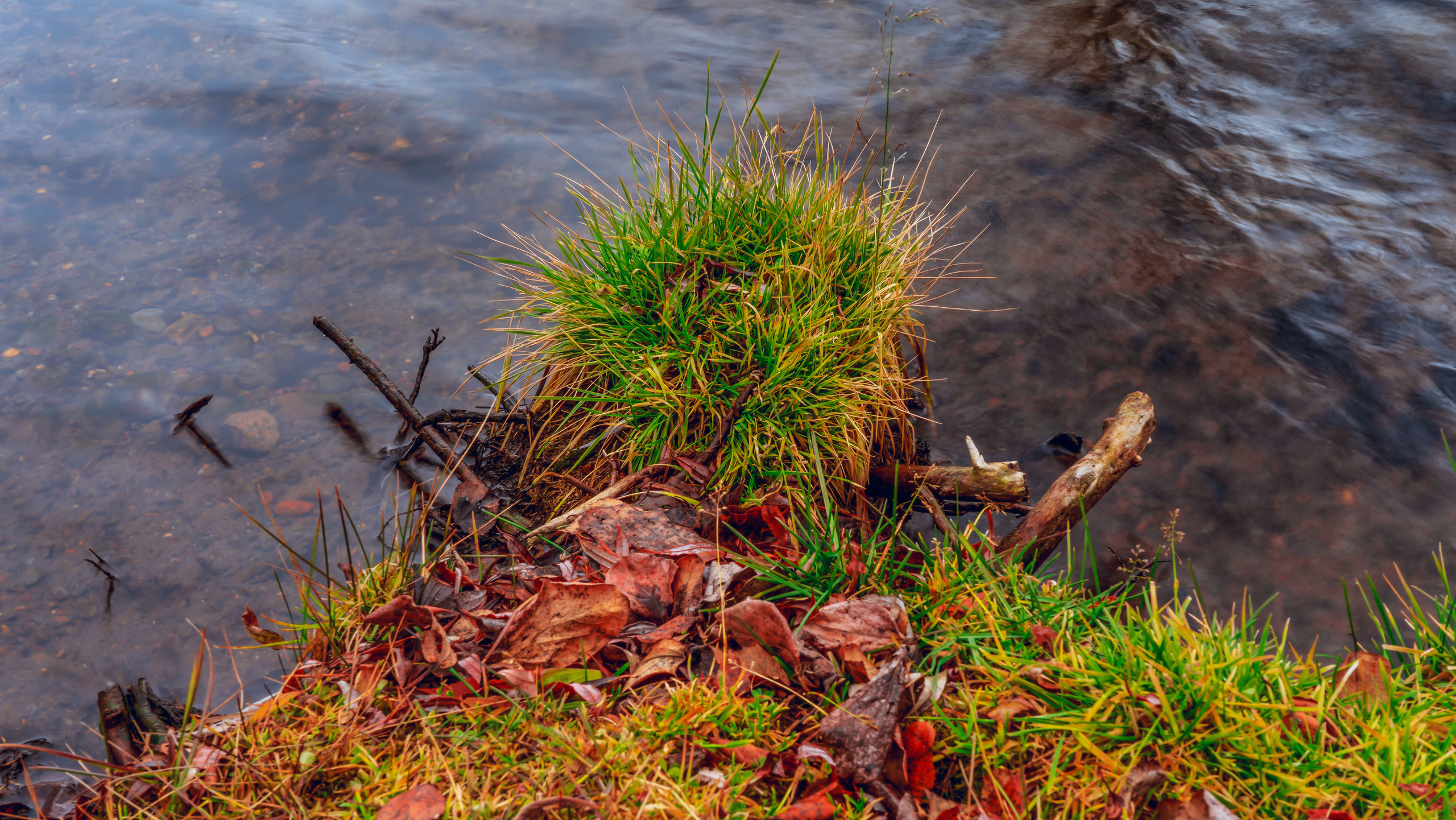 Осень. Фотограф Ворошилов Дмитрий. Эссо. Камчатка