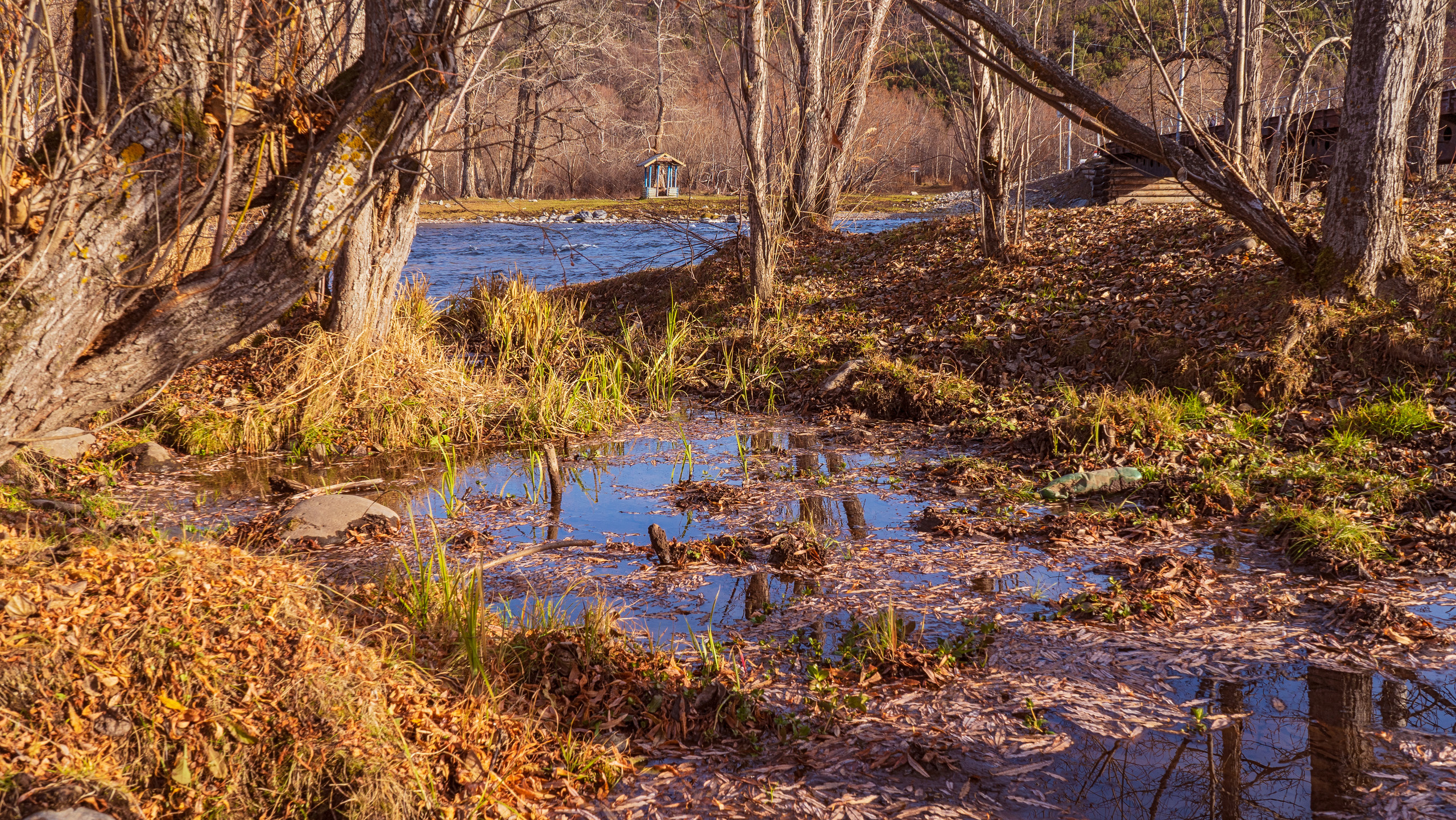 Осень. Фотограф Ворошилов Дмитрий. Эссо. Камчатка
