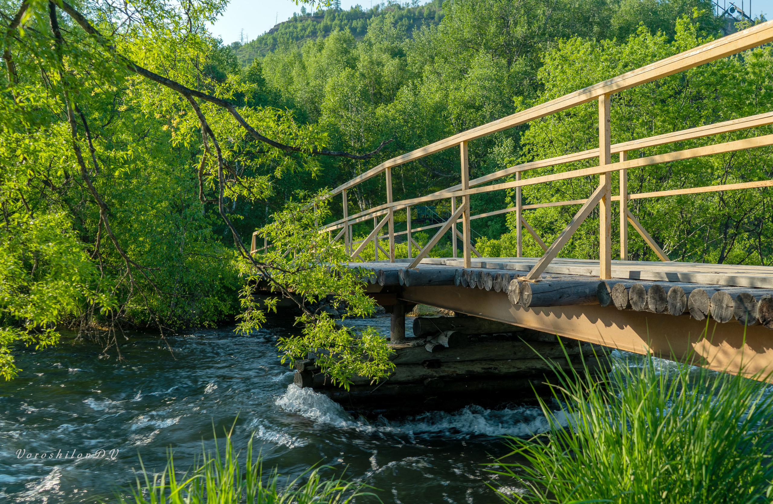 Лето. Фотограф Ворошилов Дмитрий. Эссо. Камчатка