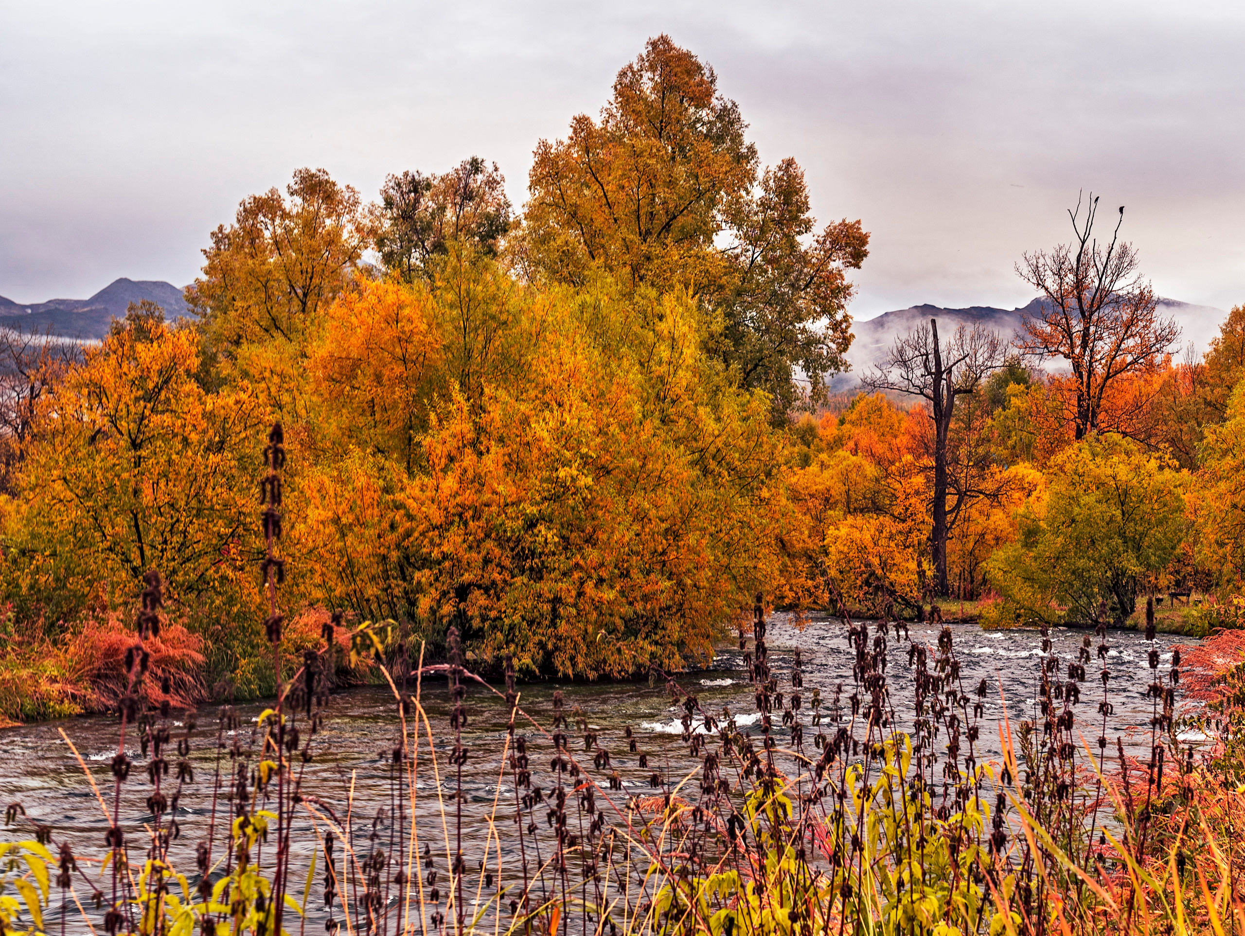 Осень. Фотограф Ворошилов Дмитрий. Эссо. Камчатка