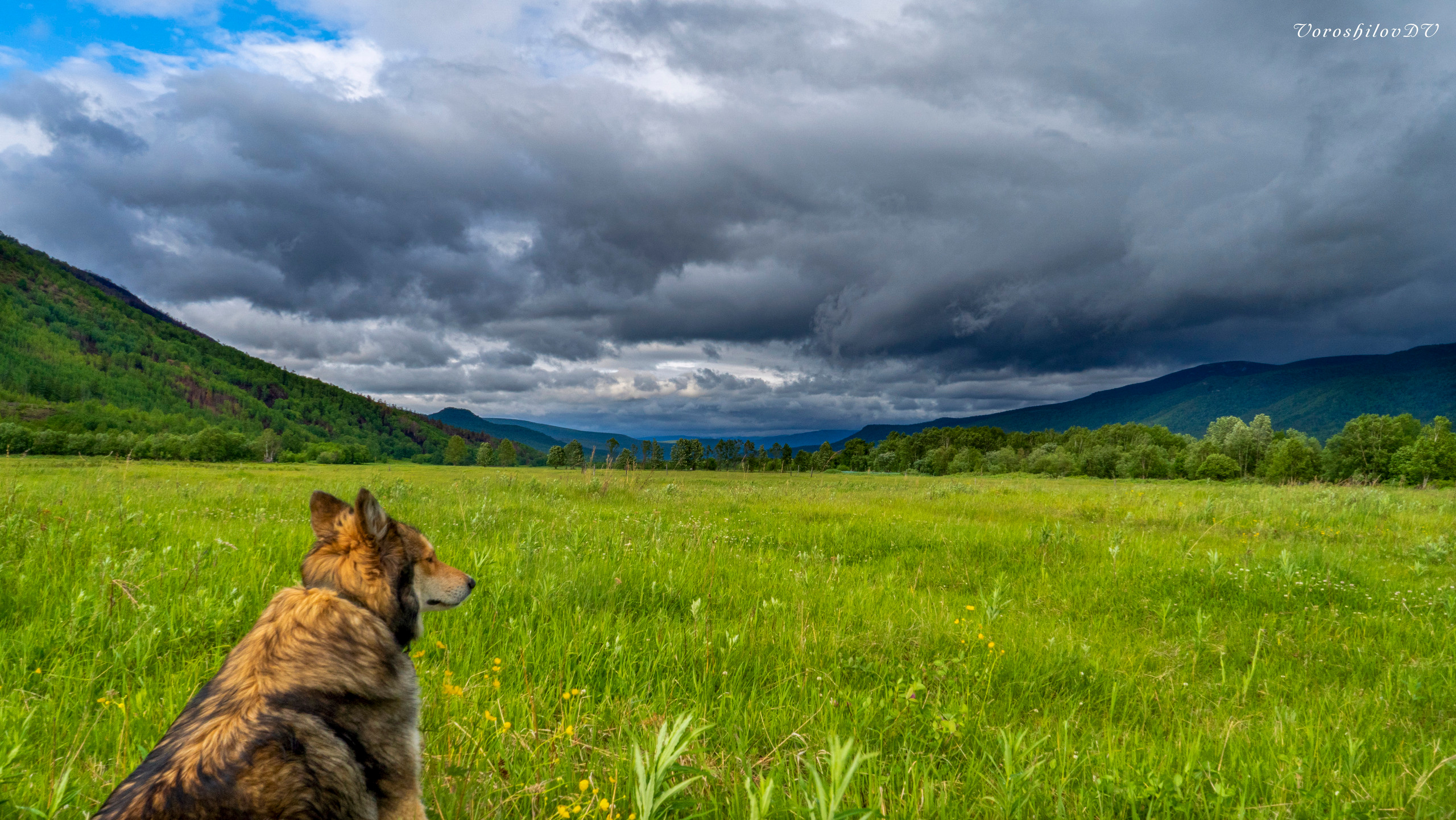Лето. Фотограф Ворошилов Дмитрий. Эссо. Камчатка