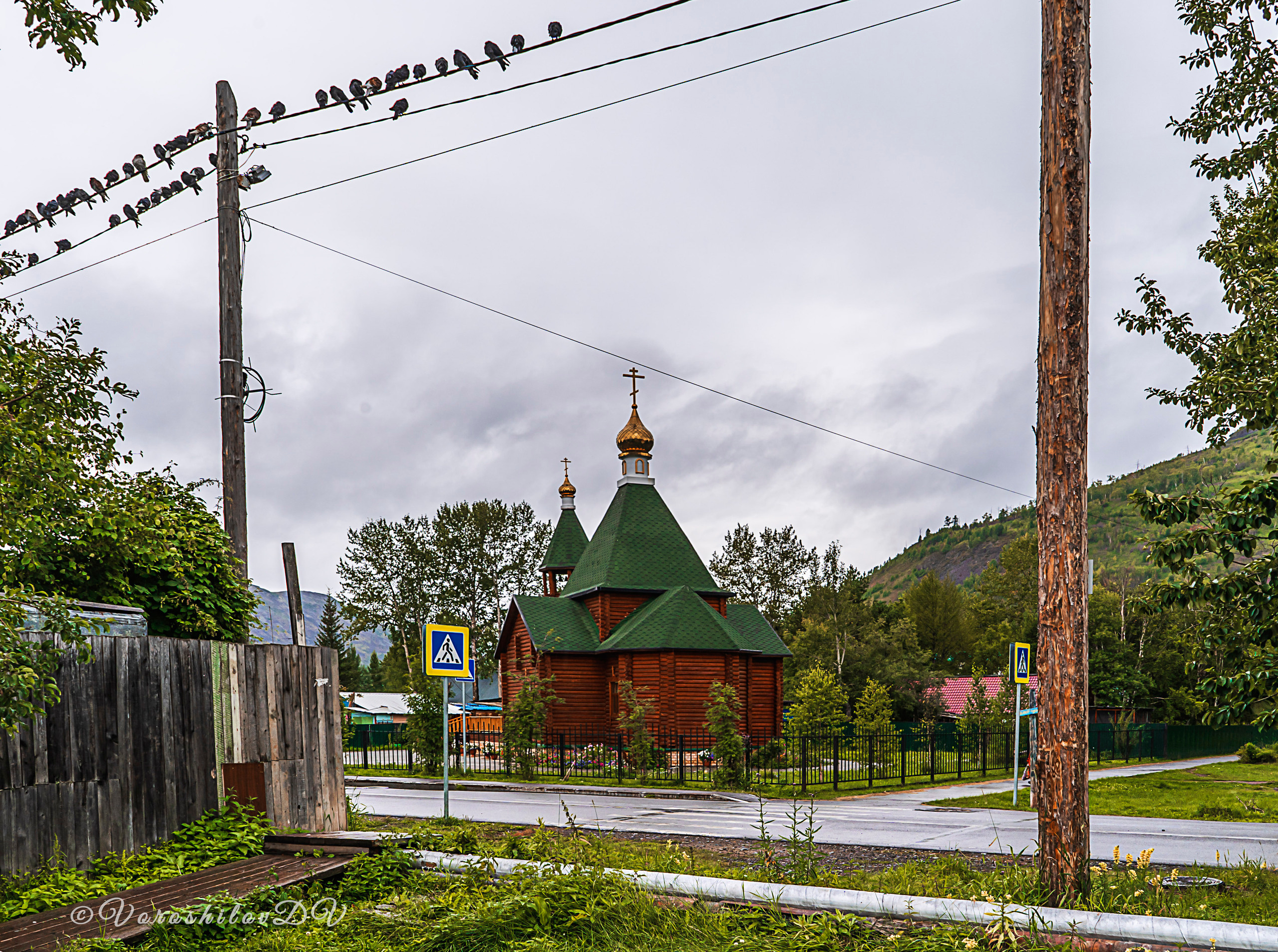 Лето. Фотограф Ворошилов Дмитрий. Эссо. Камчатка