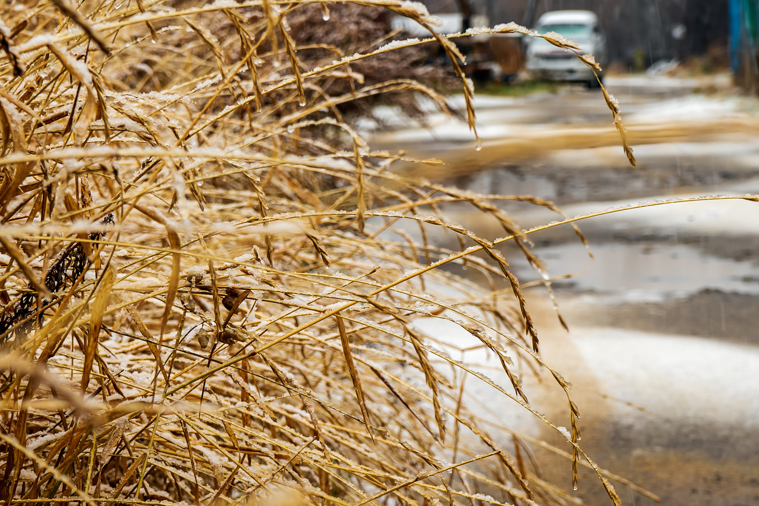 Осень. Фотограф Ворошилов Дмитрий. Эссо. Камчатка