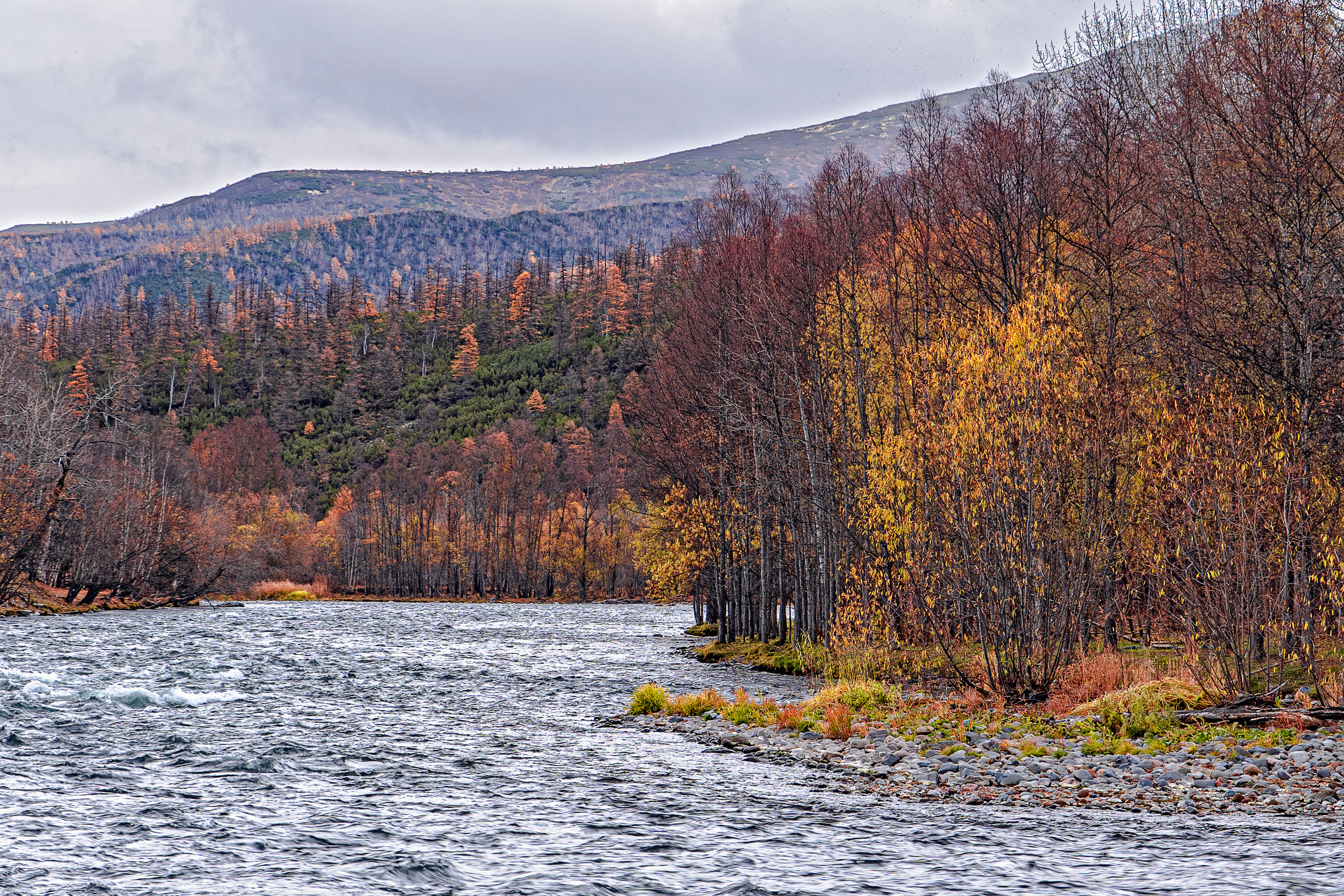 Осень. Фотограф Ворошилов Дмитрий. Эссо. Камчатка
