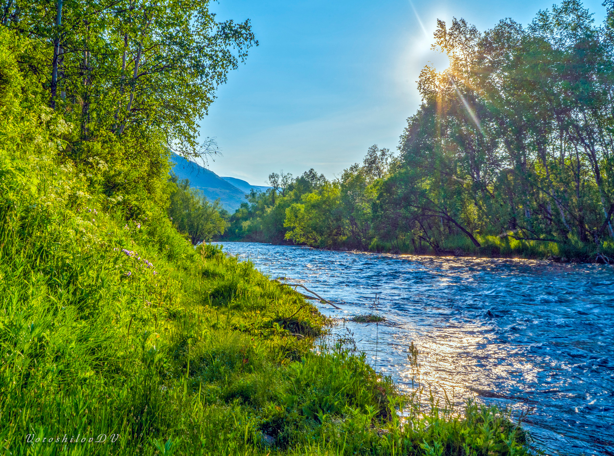 Лето. Фотограф Ворошилов Дмитрий. Эссо. Камчатка
