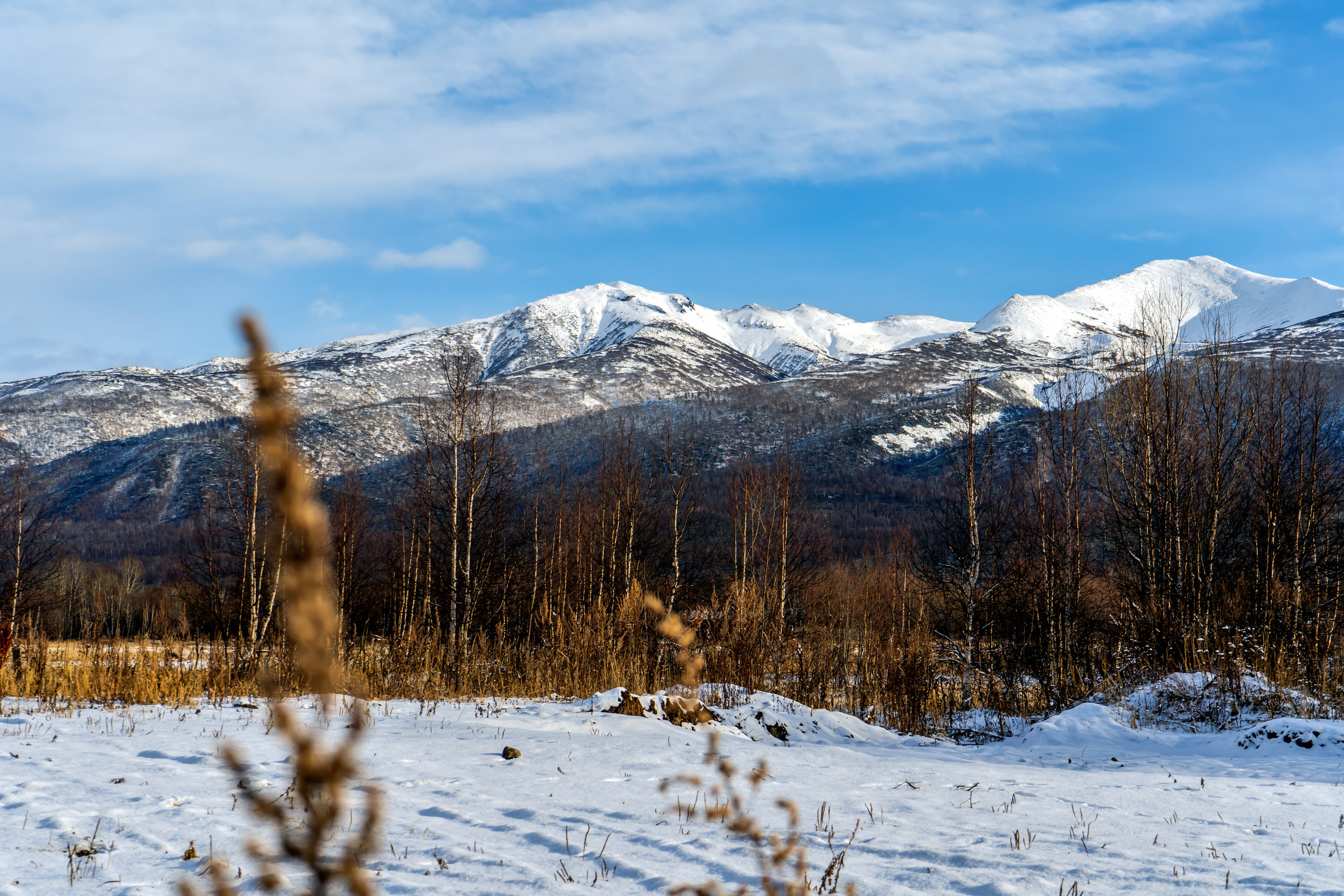 эссо фотокамчатка фото