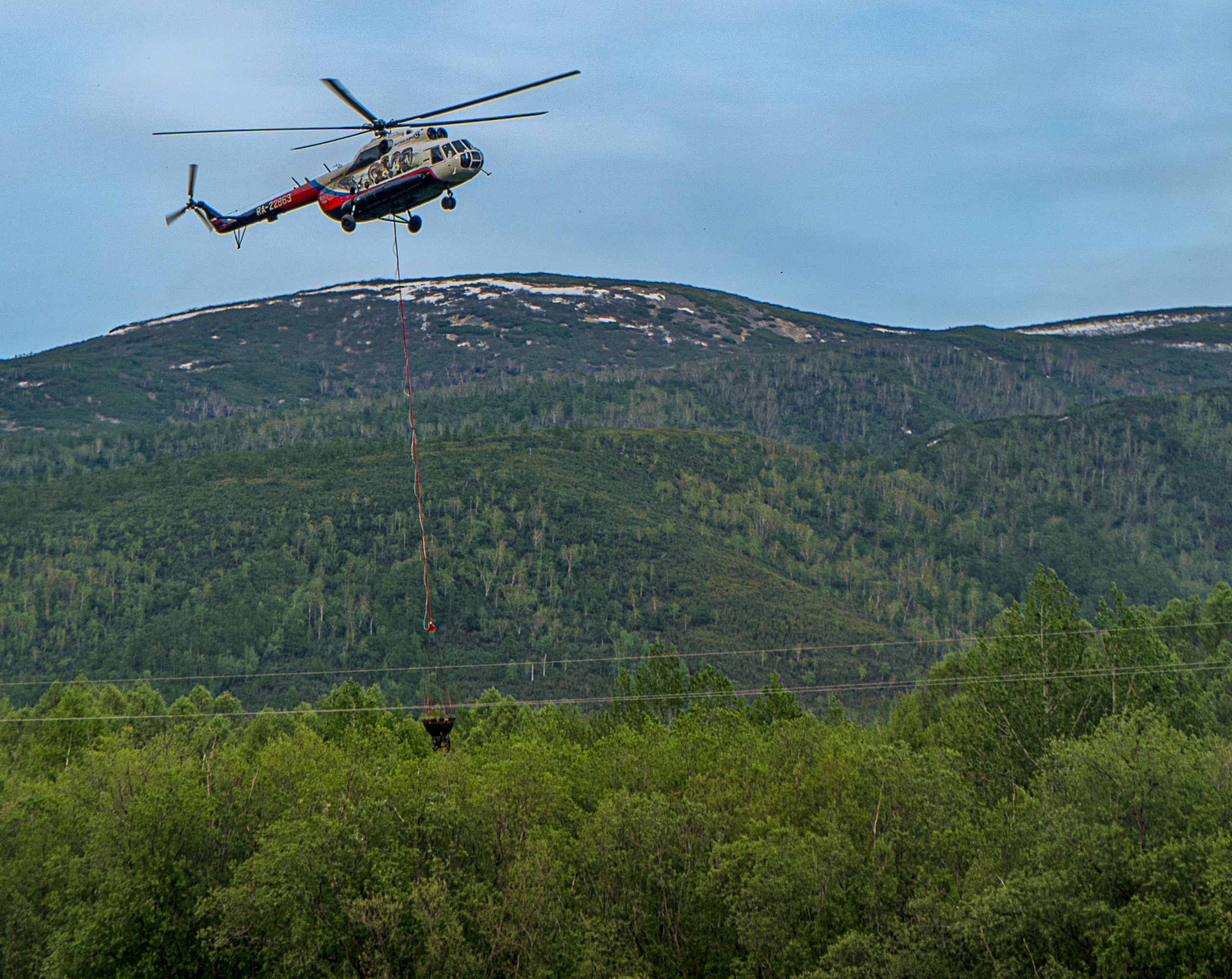 Пожар в Эссо 2020. Фотограф Ворошилов Дмитрий. Эссо. Камчатка
