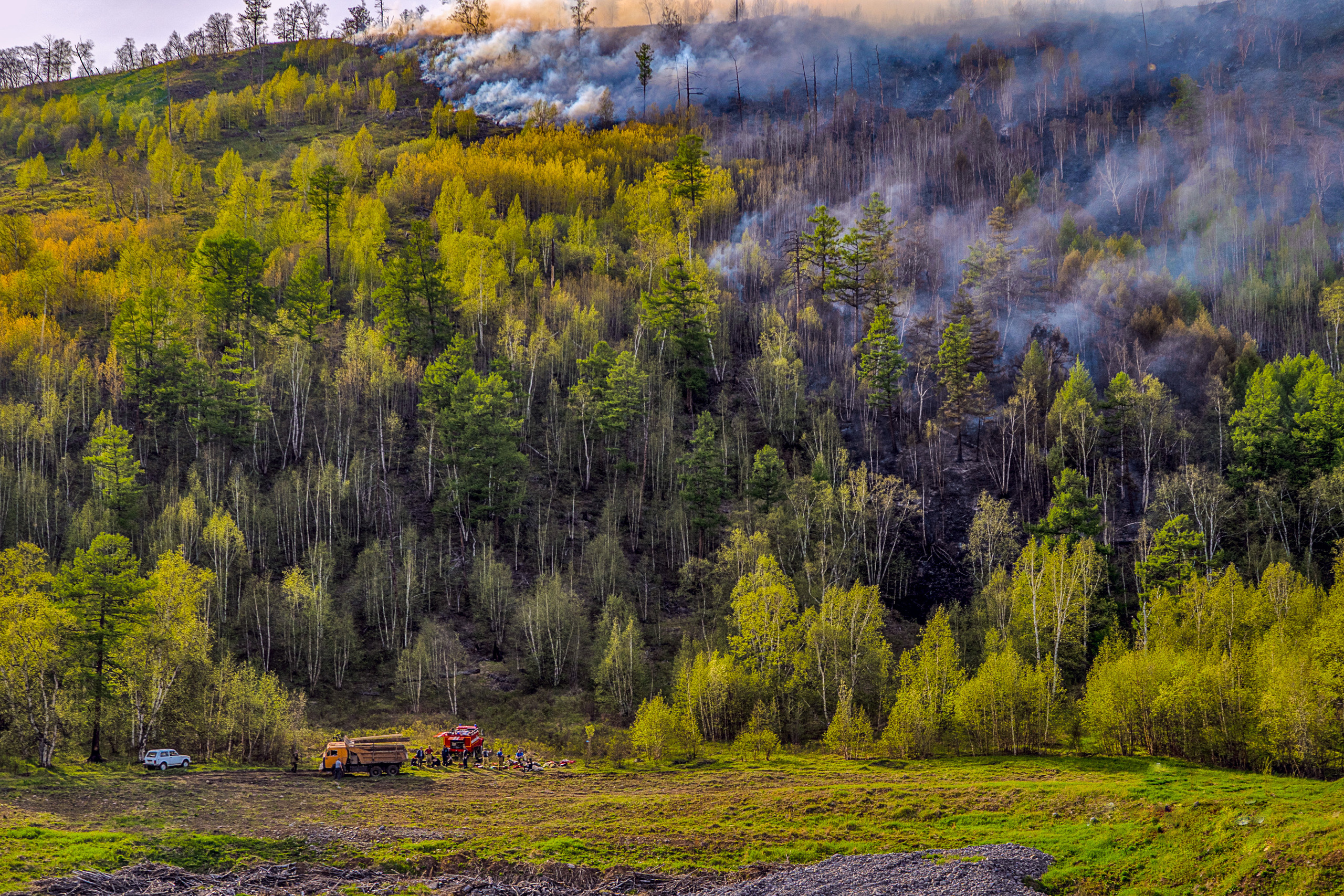 Пожар в Эссо 2020. Фотограф Ворошилов Дмитрий. Эссо. Камчатка