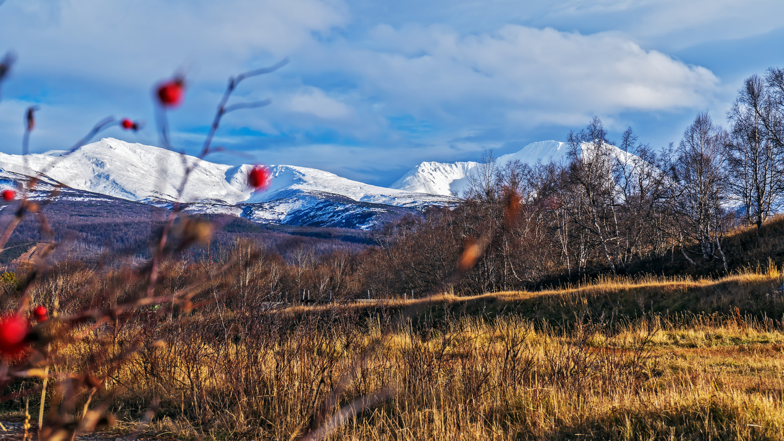 Осень. Фотограф Ворошилов Дмитрий. Эссо. Камчатка