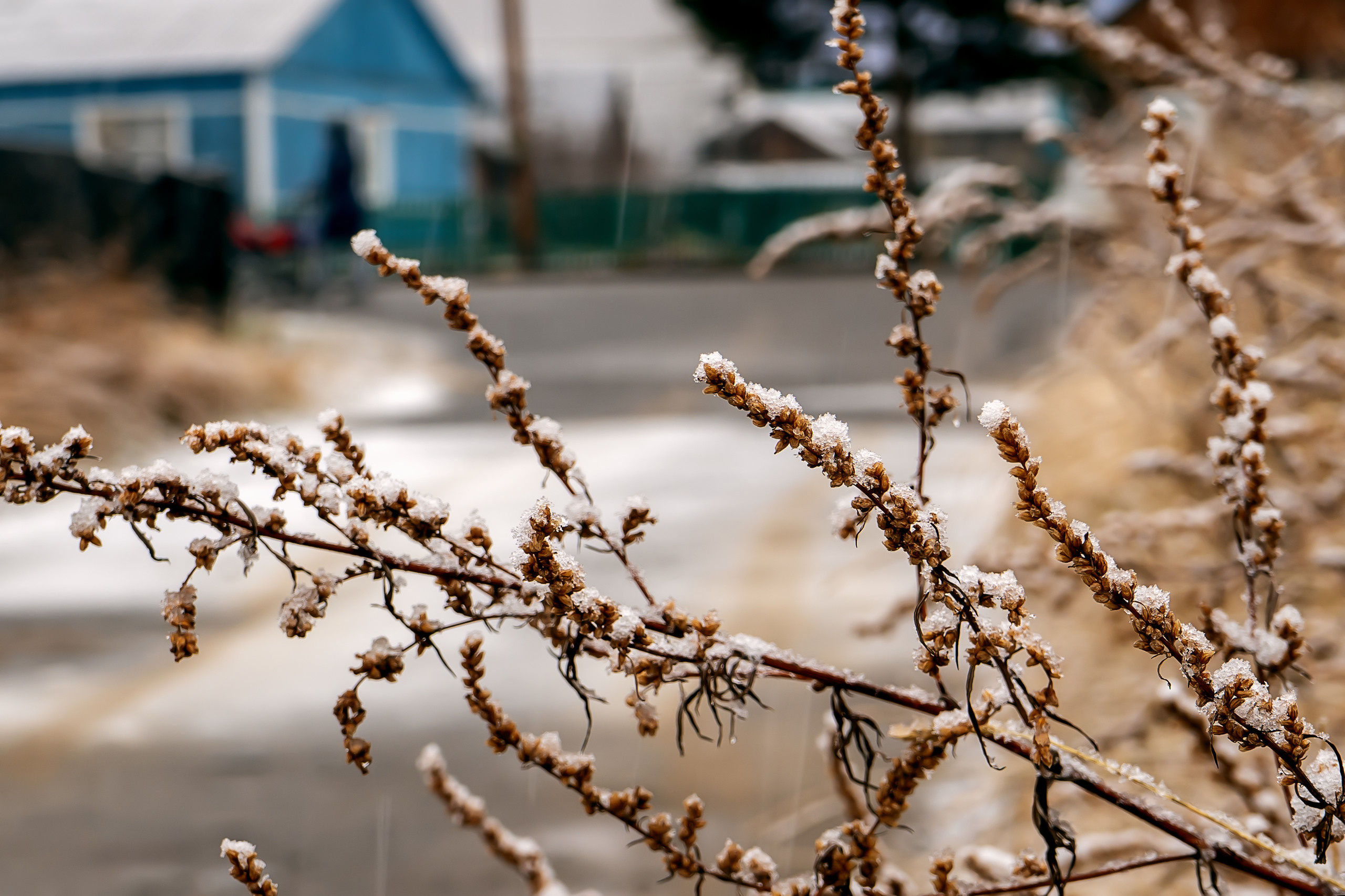 Осень. Фотограф Ворошилов Дмитрий. Эссо. Камчатка
