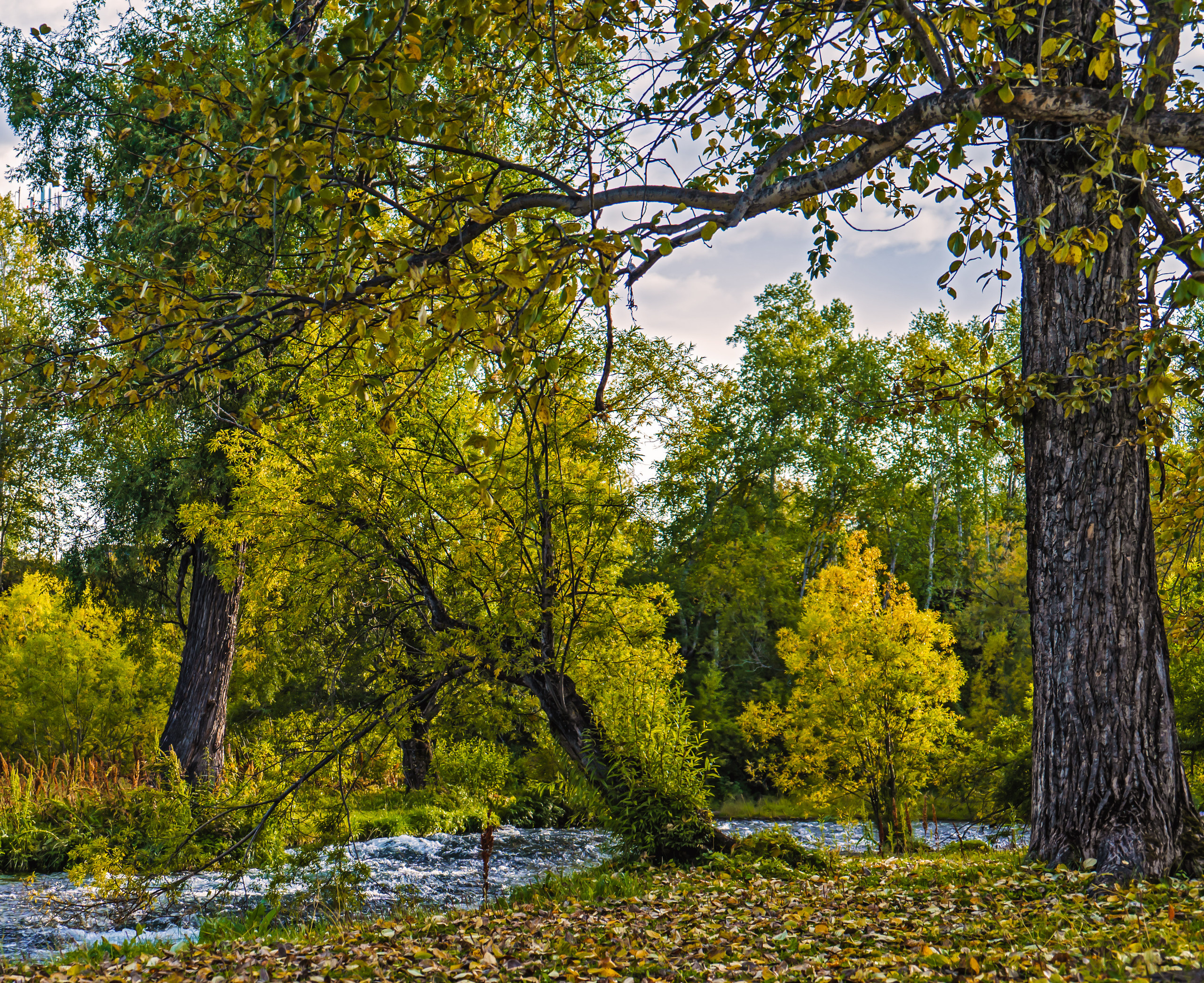 Осень. Фотограф Ворошилов Дмитрий. Эссо. Камчатка