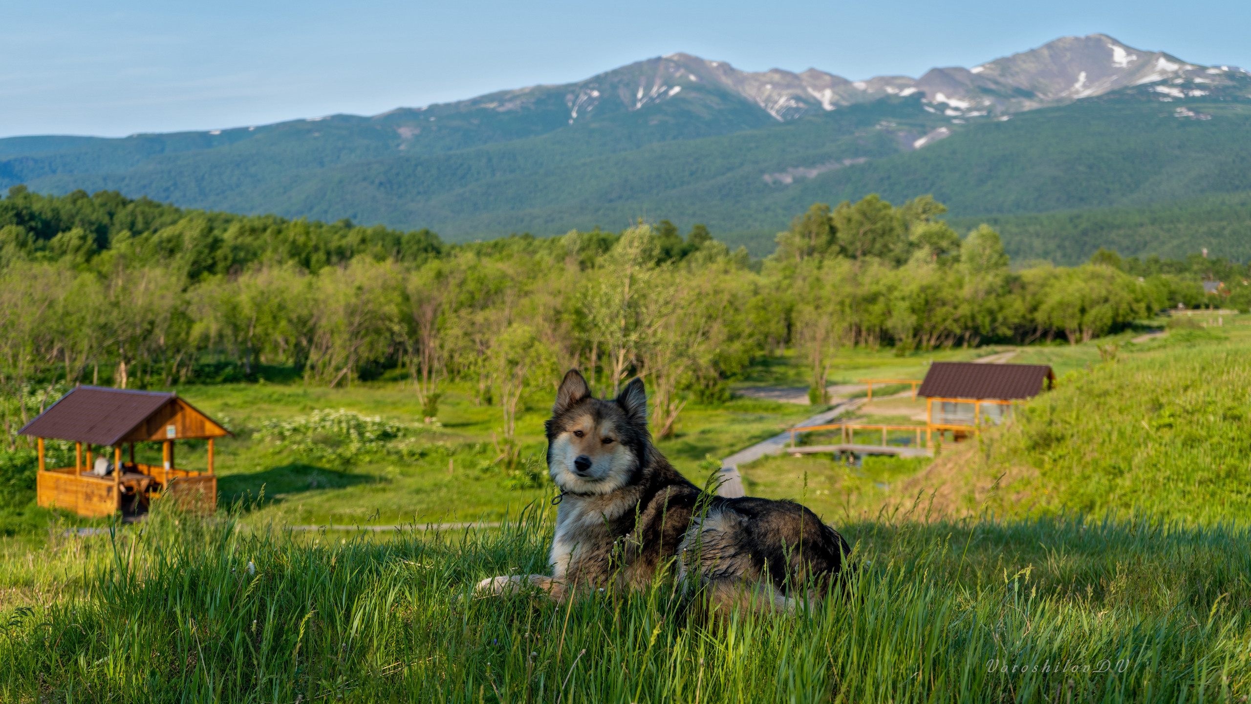Лето. Фотограф Ворошилов Дмитрий. Эссо. Камчатка