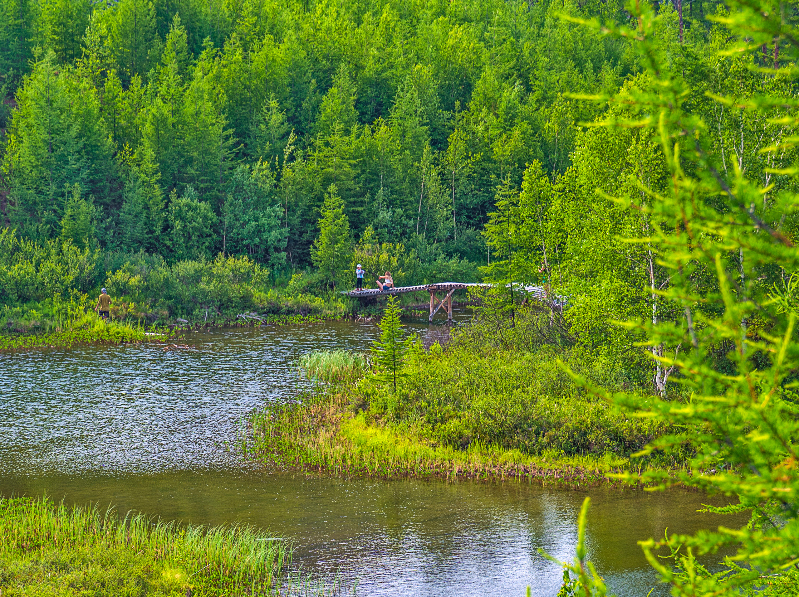 Лето. Фотограф Ворошилов Дмитрий. Эссо. Камчатка