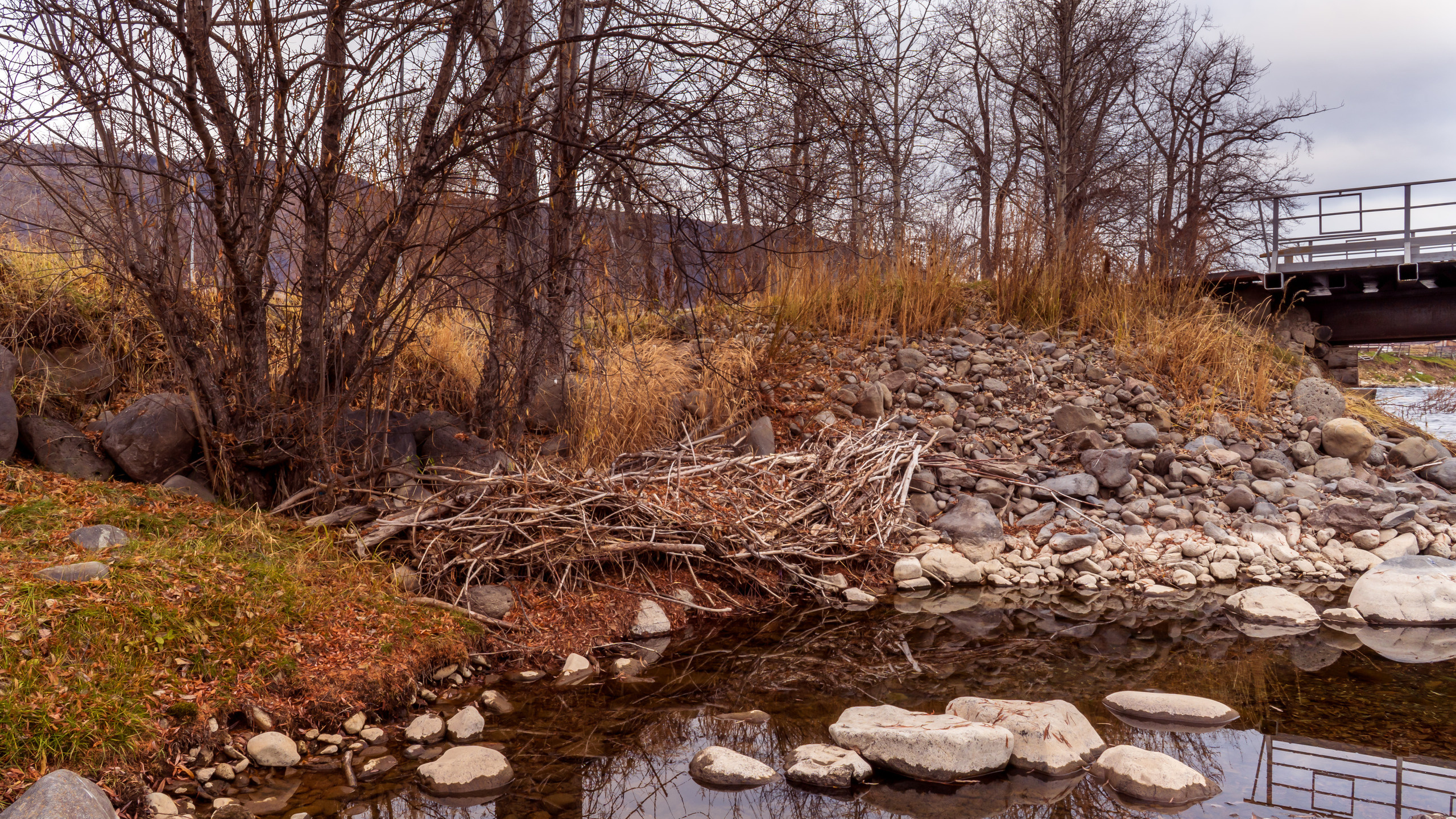 Осень. Фотограф Ворошилов Дмитрий. Эссо. Камчатка