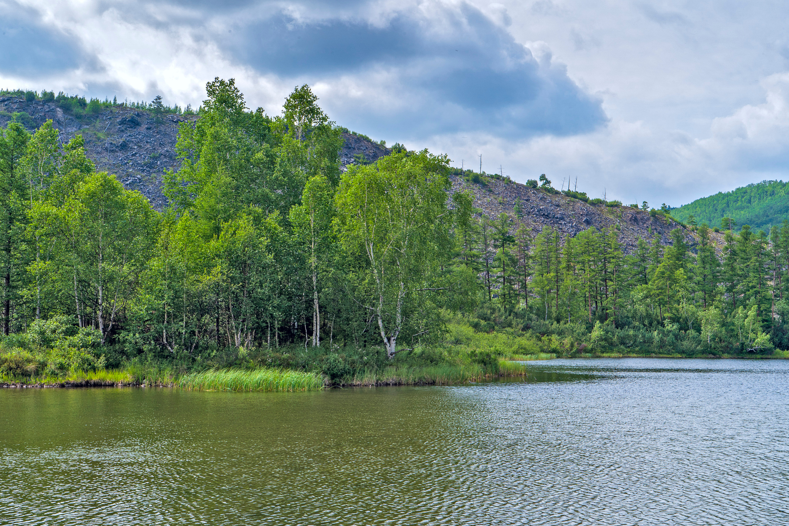 Лето. Фотограф Ворошилов Дмитрий. Эссо. Камчатка
