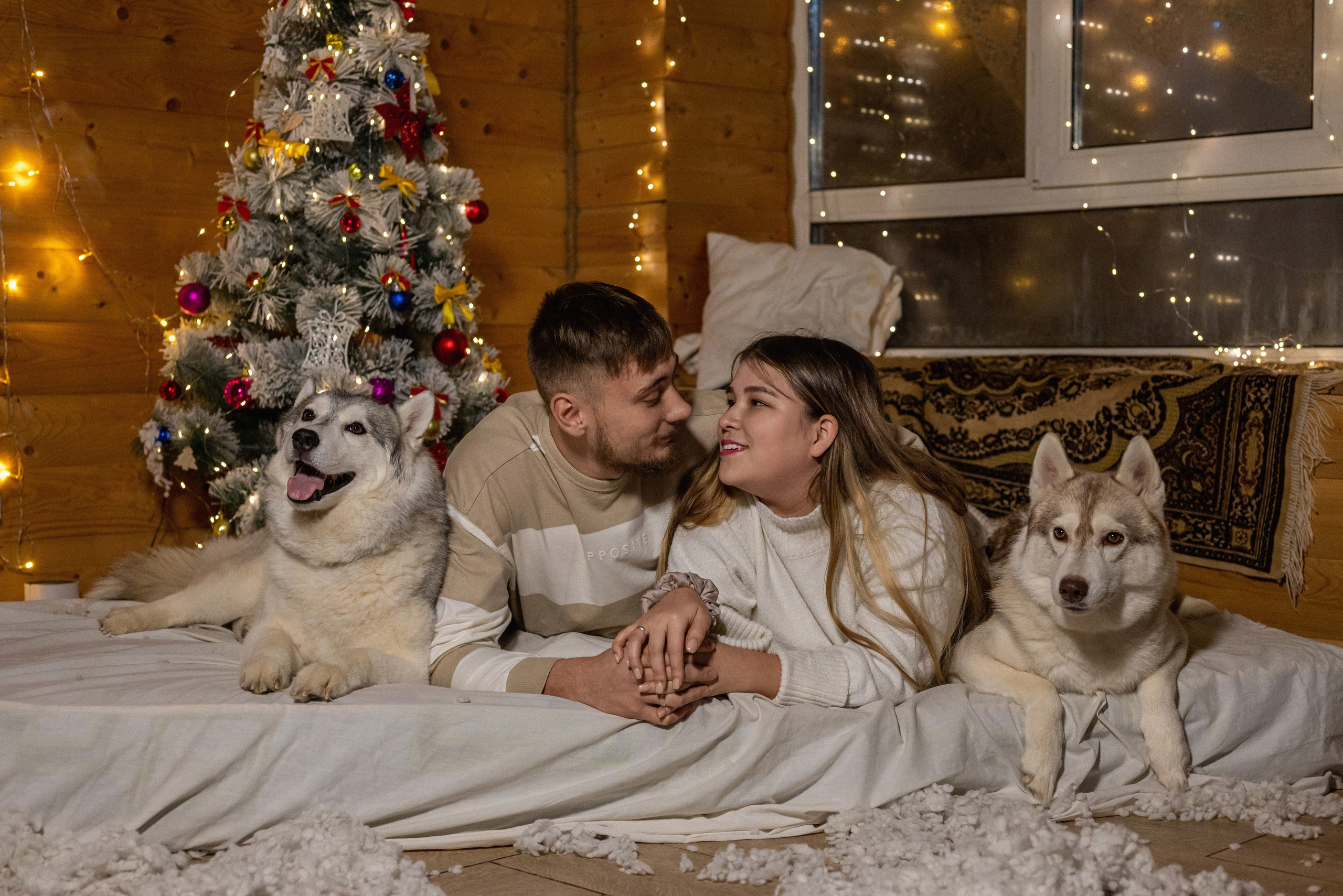 Фотопроект с хаски 2024 г. Фотограф в городе Салават