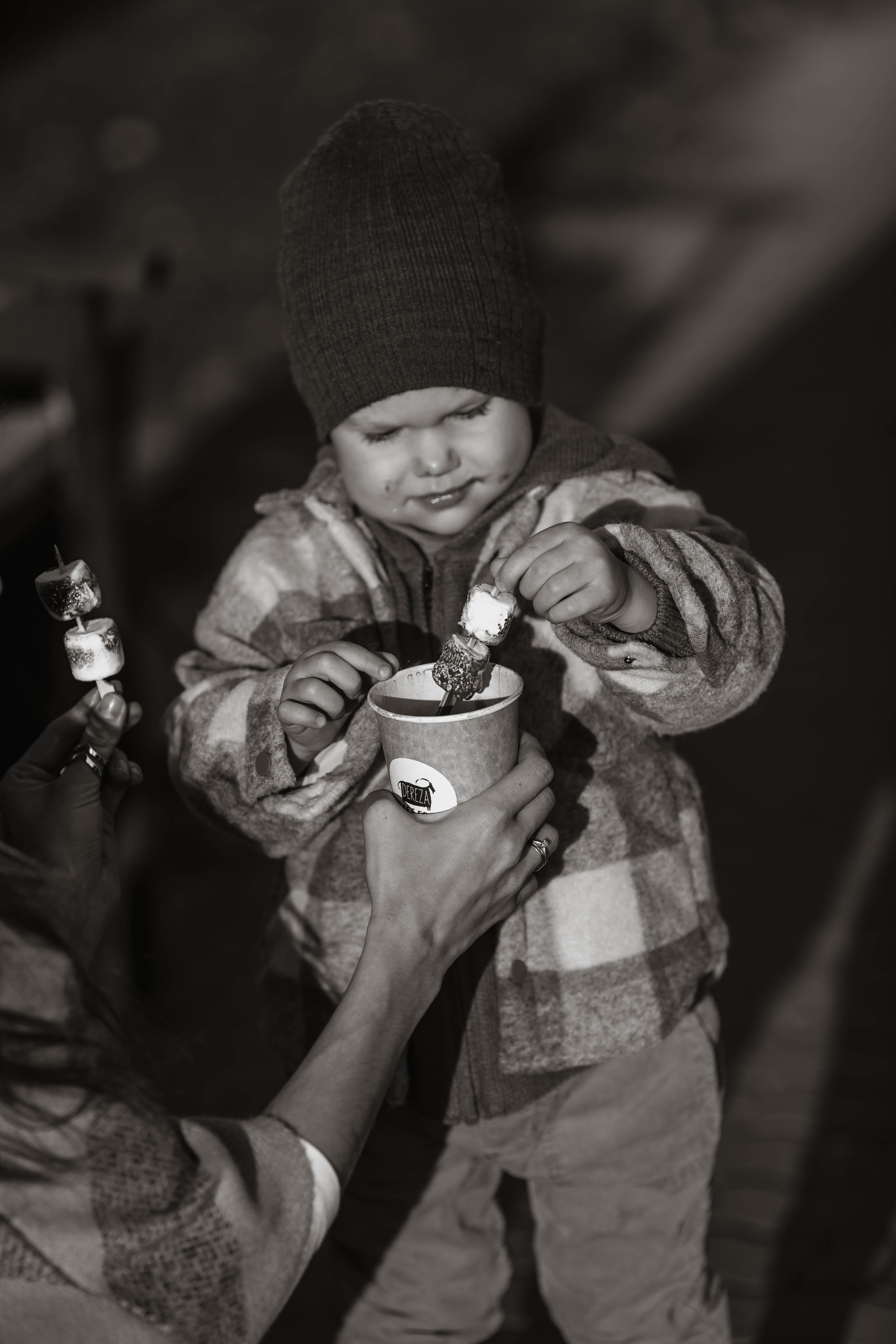 Семейная фотопрогулка. Главная