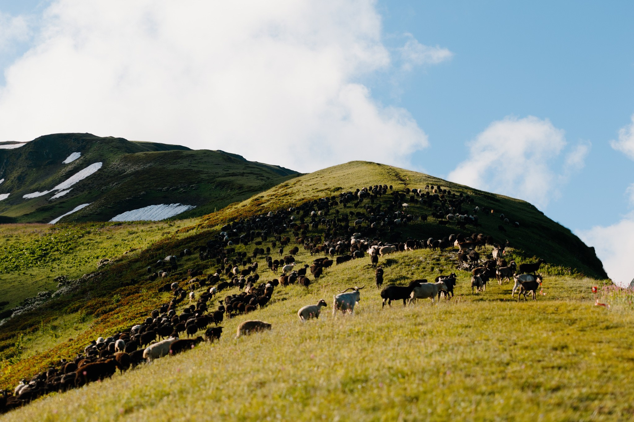 Природа. Спортивный фотограф Тремпольцева Анна