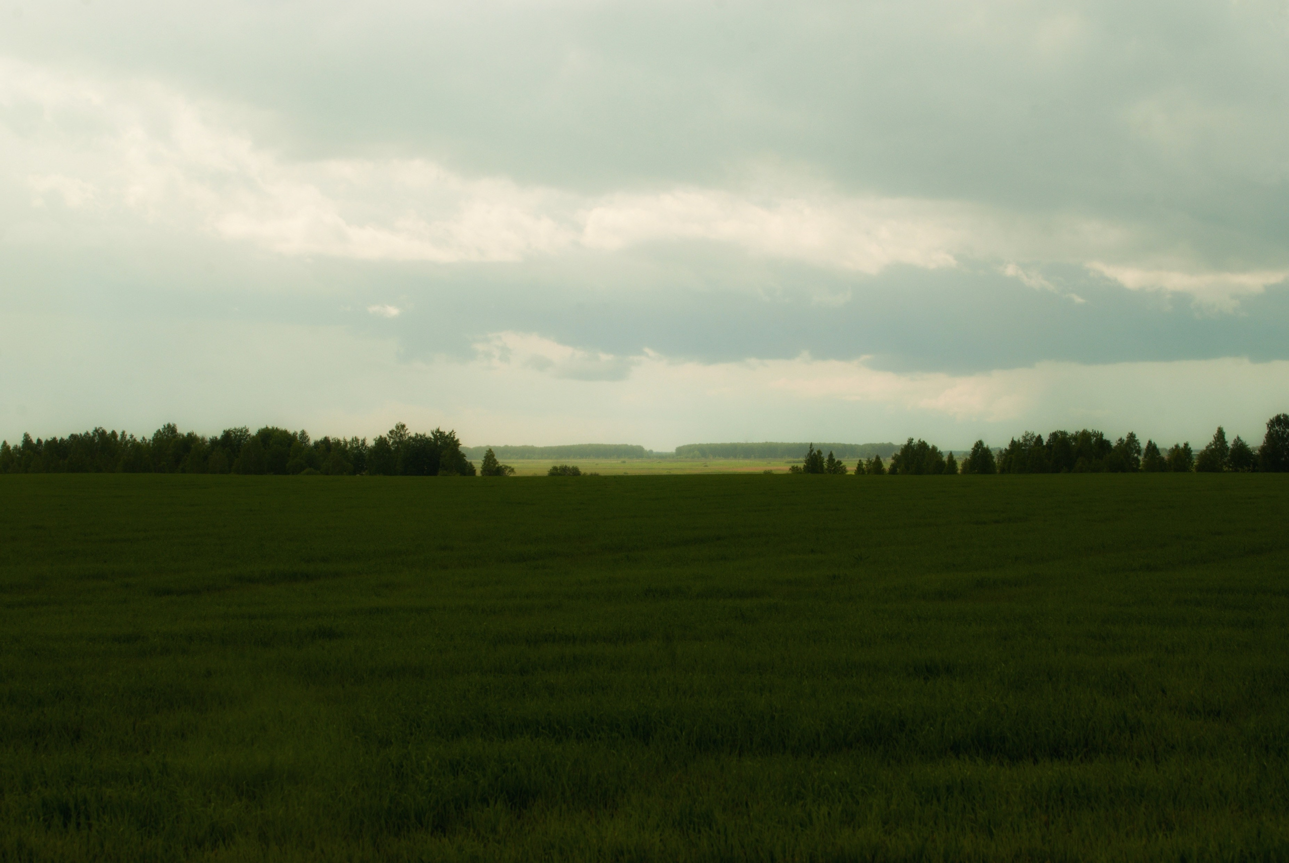 Этот прекрасный мир