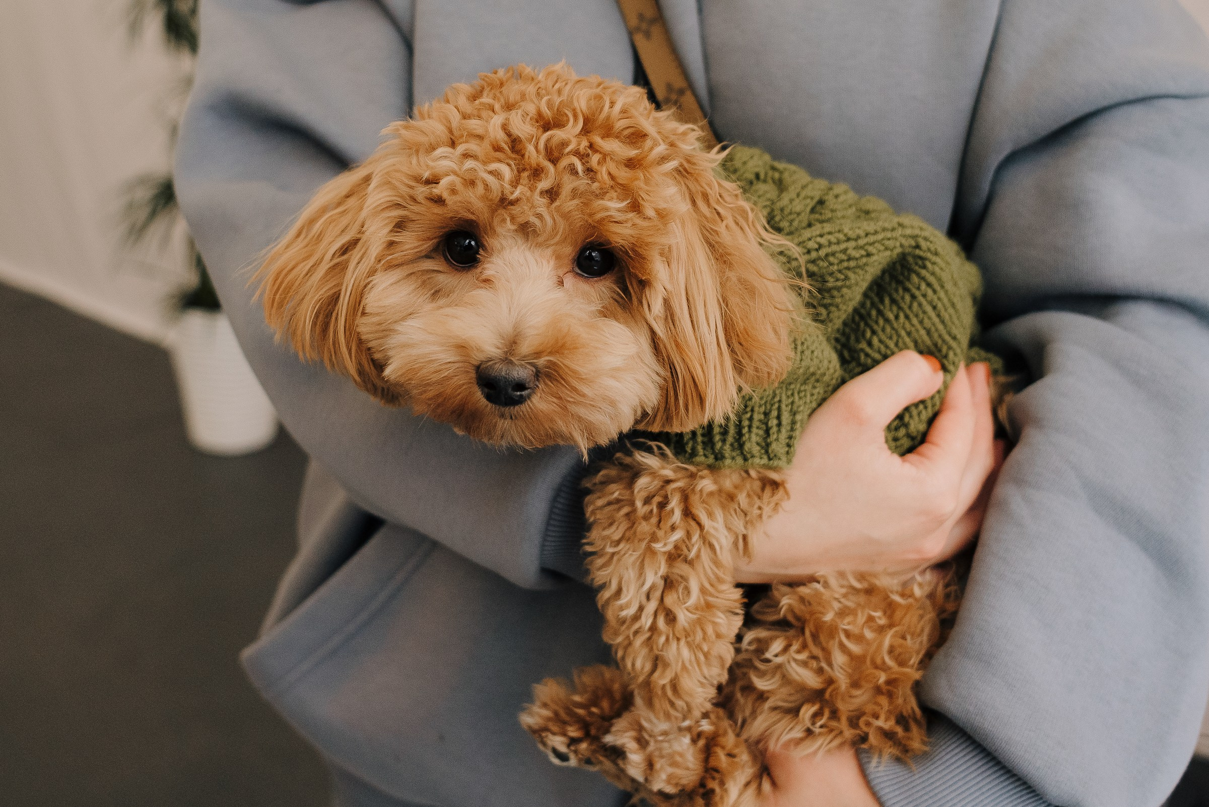 HAVAL ROAD SHOW. Репортажный фотограф Зуев Роман г. Челябинск
