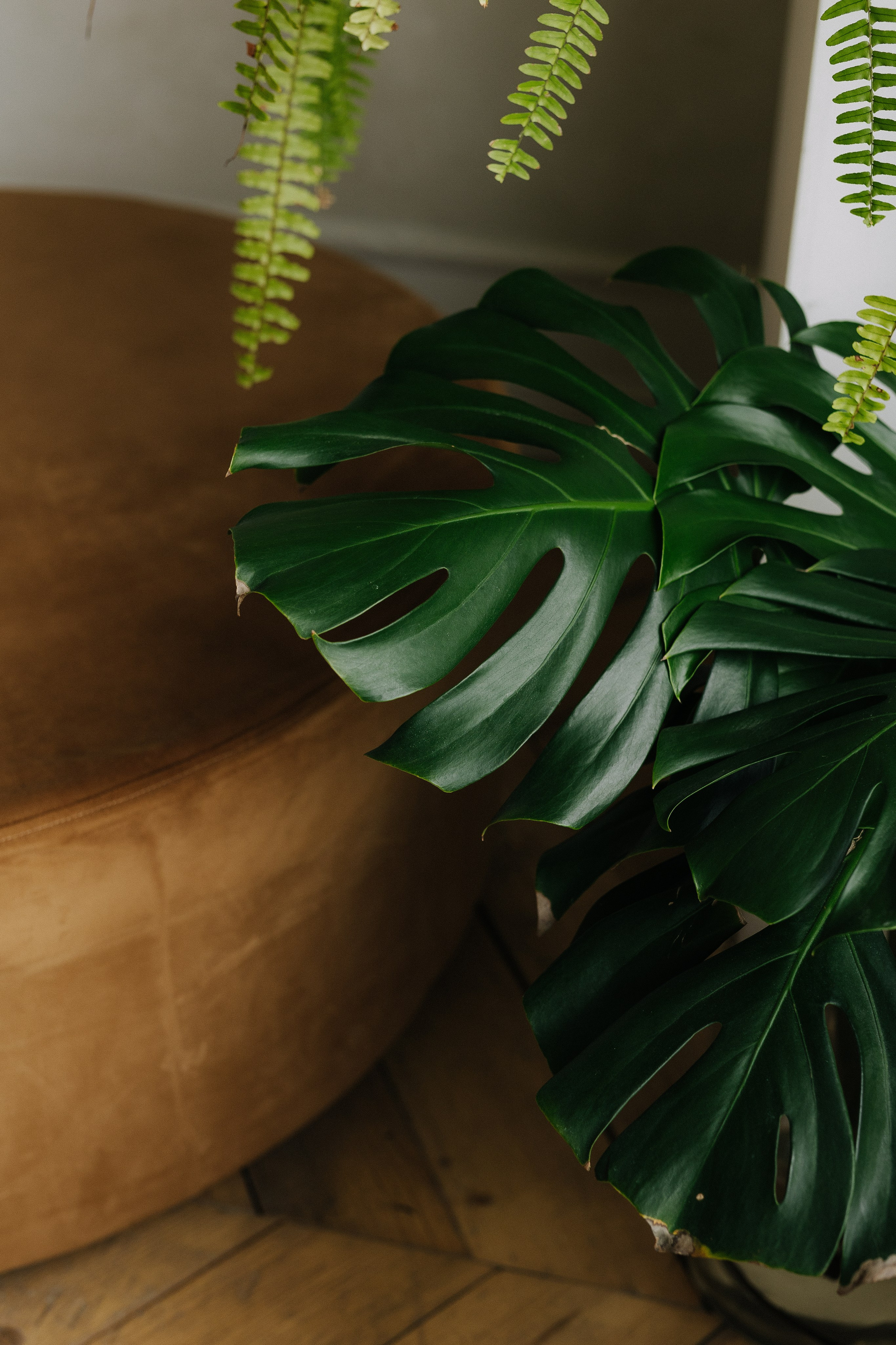 Дача-лофт, Дача. Свадебный семейный и детский фотограф в Краснодаре Карина Федоровская