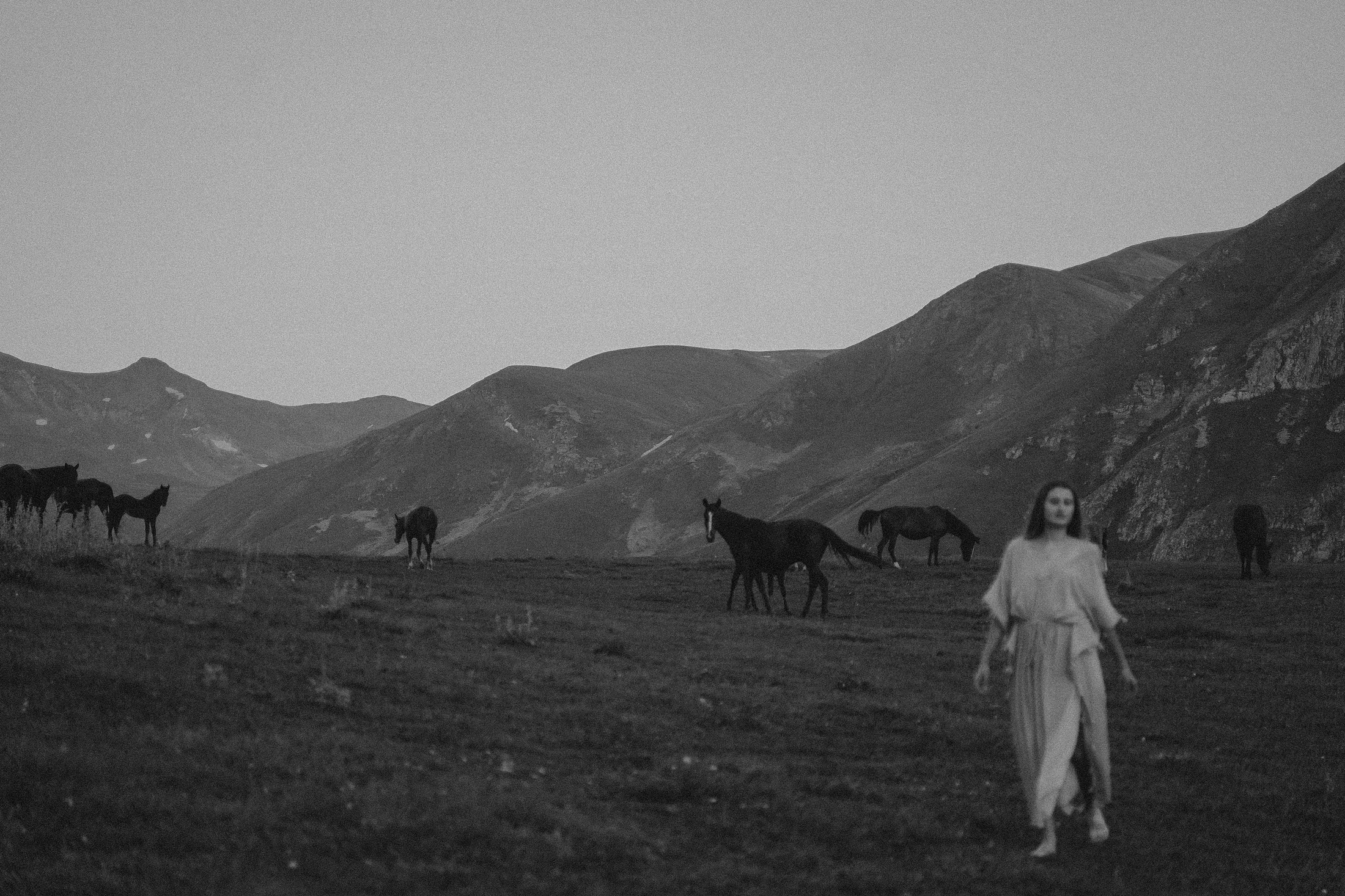 Зелёный дом. Алиса Аницкая