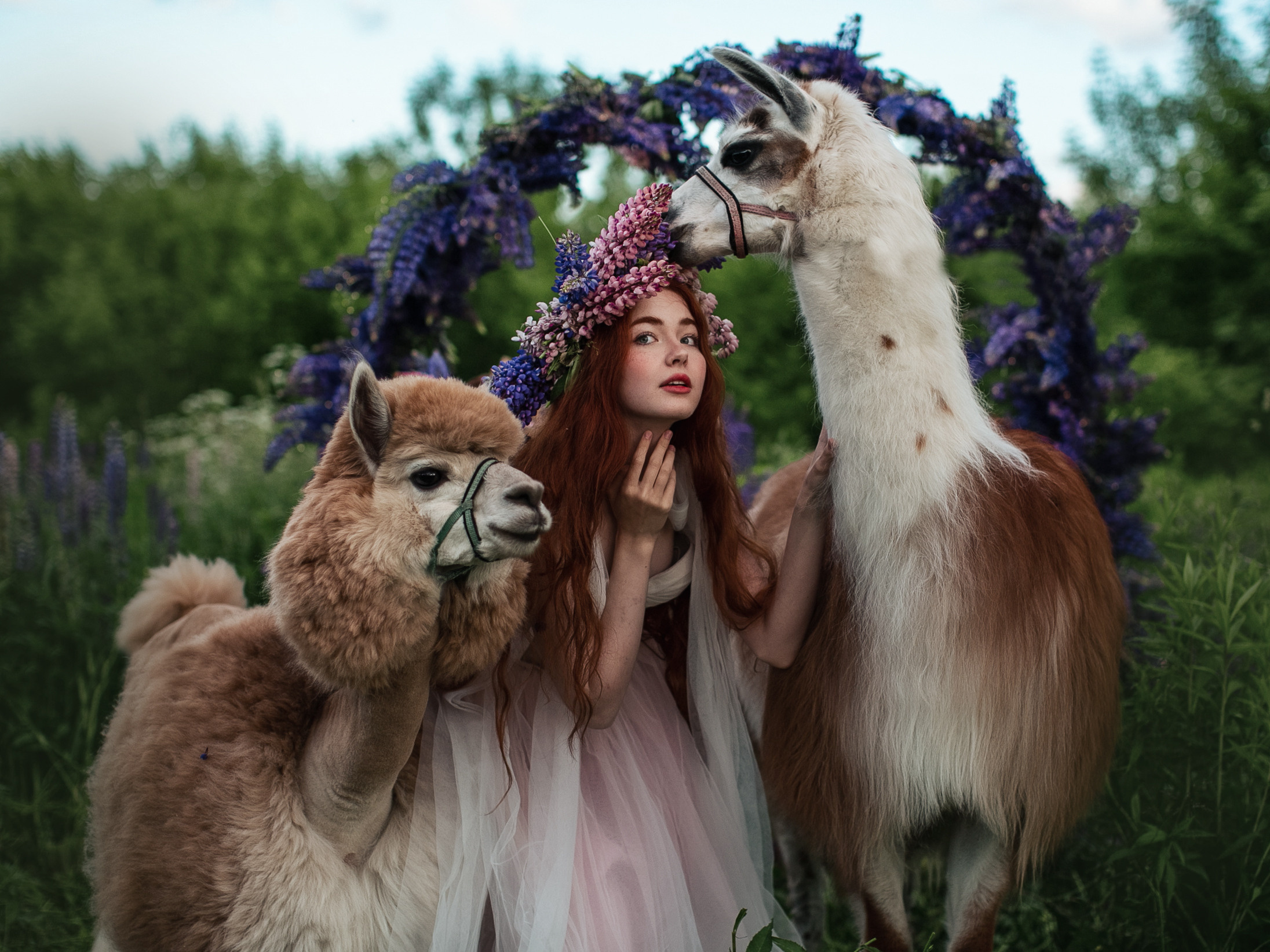 Фотосессия с дикими и домашними животными. Профессиональный фотограф в Москве Наталья Белова