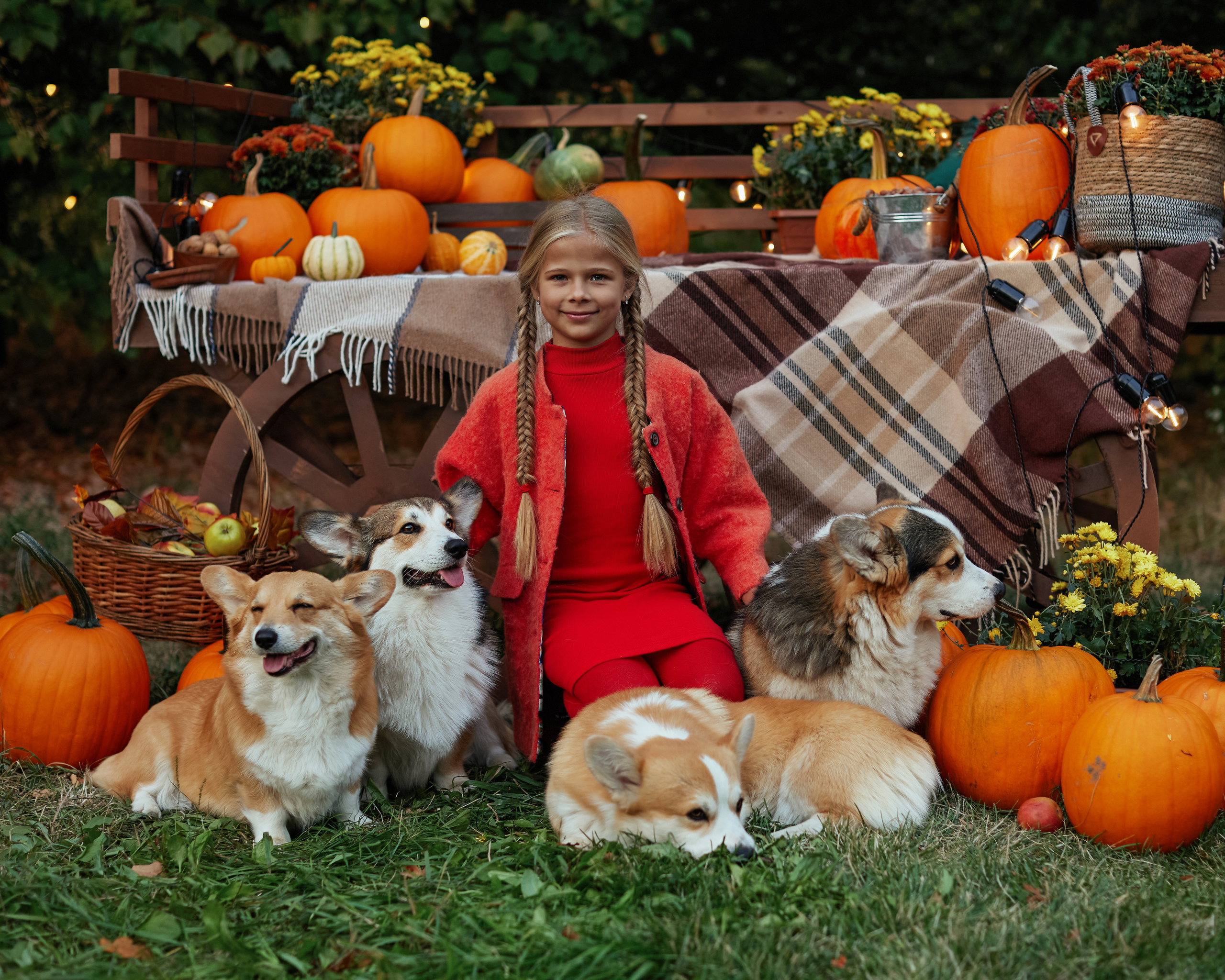 Фотосессия с дикими и домашними животными. Профессиональный фотограф в Москве Наталья Белова