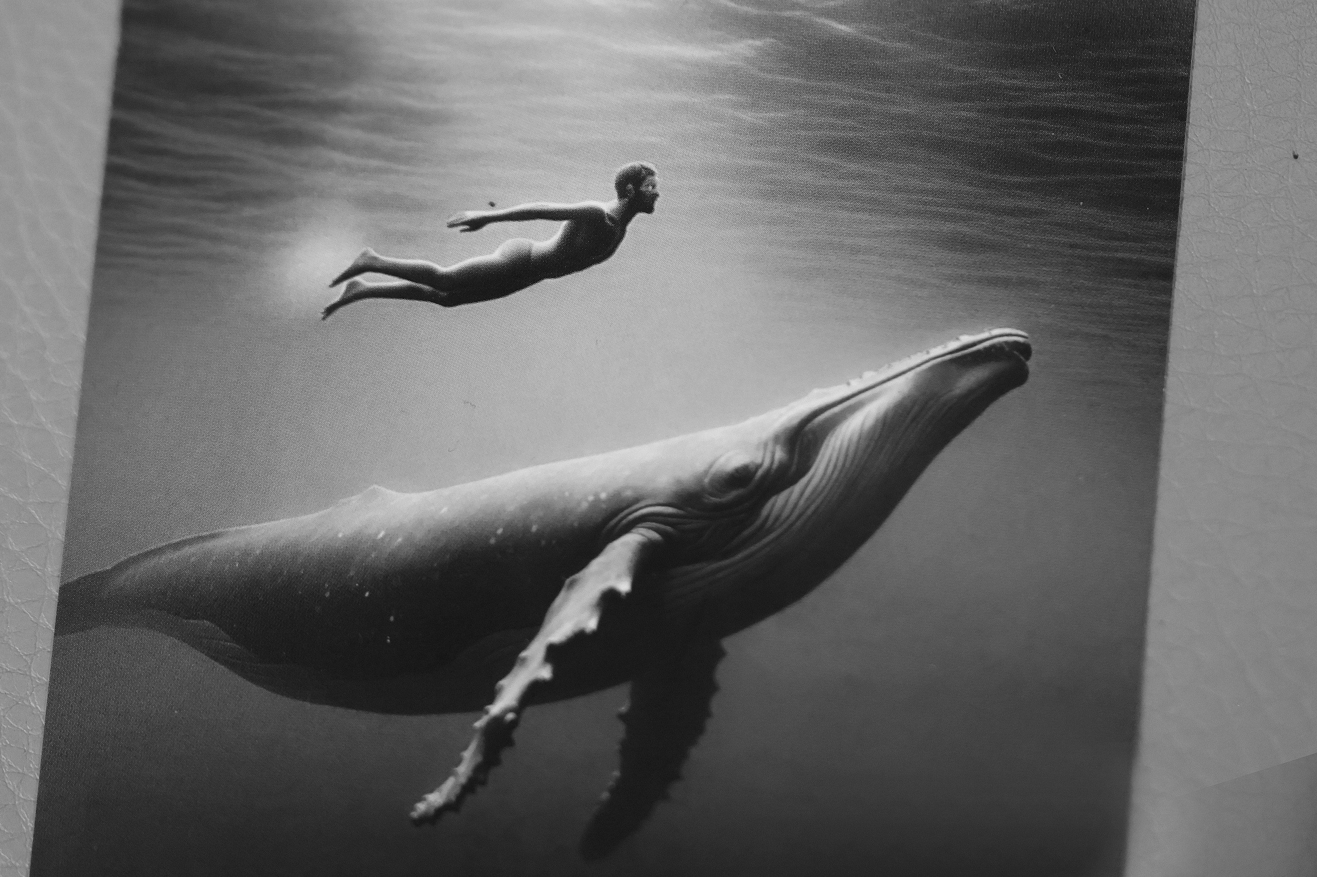 Дело Года 2024. Счастье в деятельности. Проект Филиппа Гузенюка. Фотографирую масштабные события, людей и их истории по всему миру. Константин Трубников