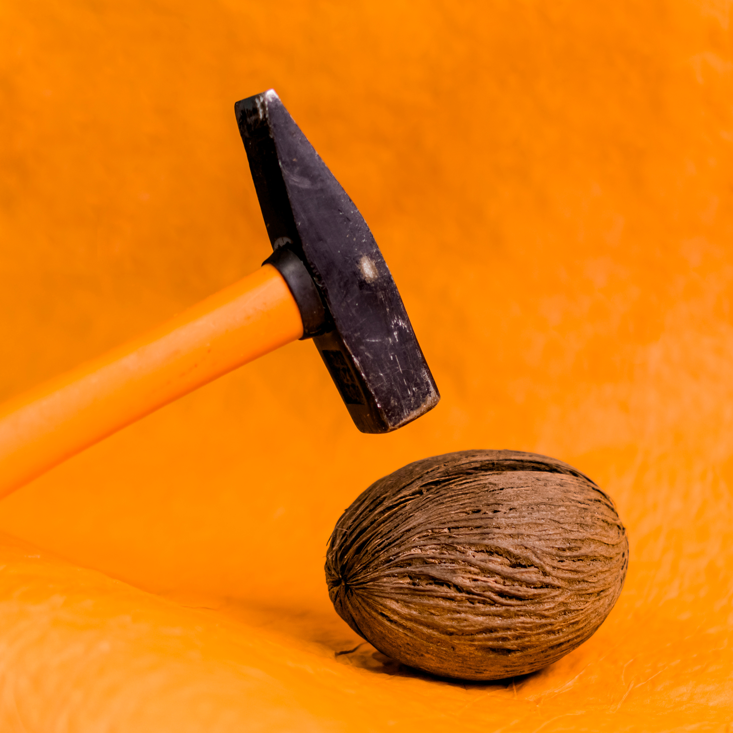 Контент. Фотограф Светлана Воронцова