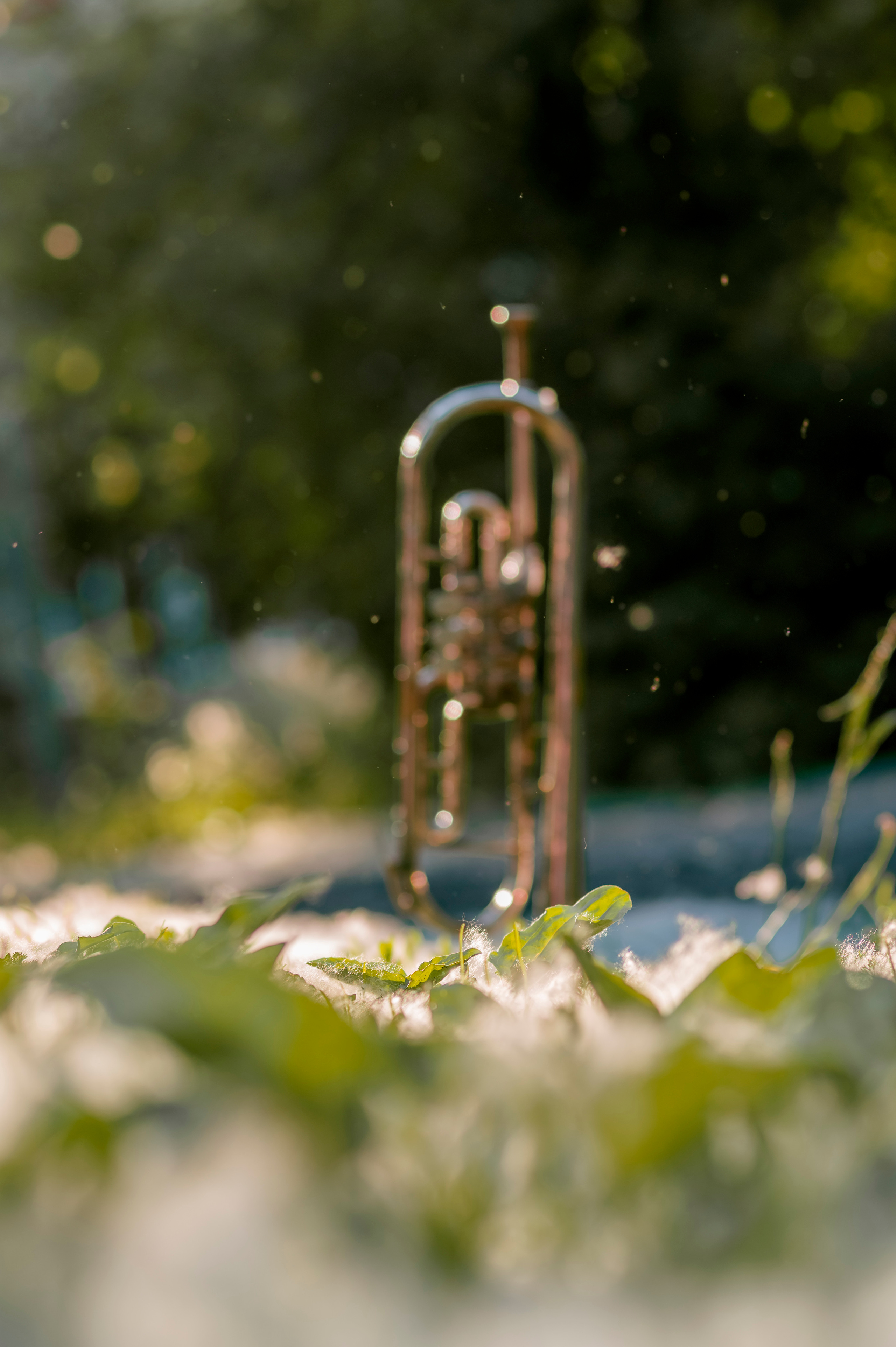 Детские. Фотограф Светлана Воронцова
