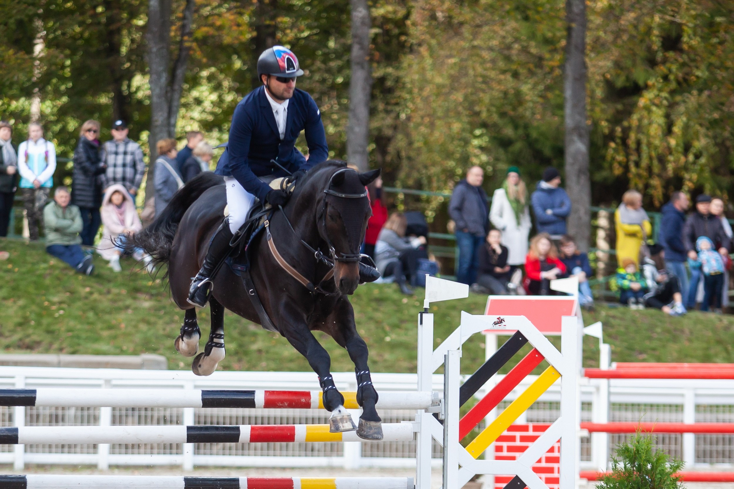 Кубок Губернатора по конкуру (21 сентября 2019). Репортажный фотограф Алексей Пирязев