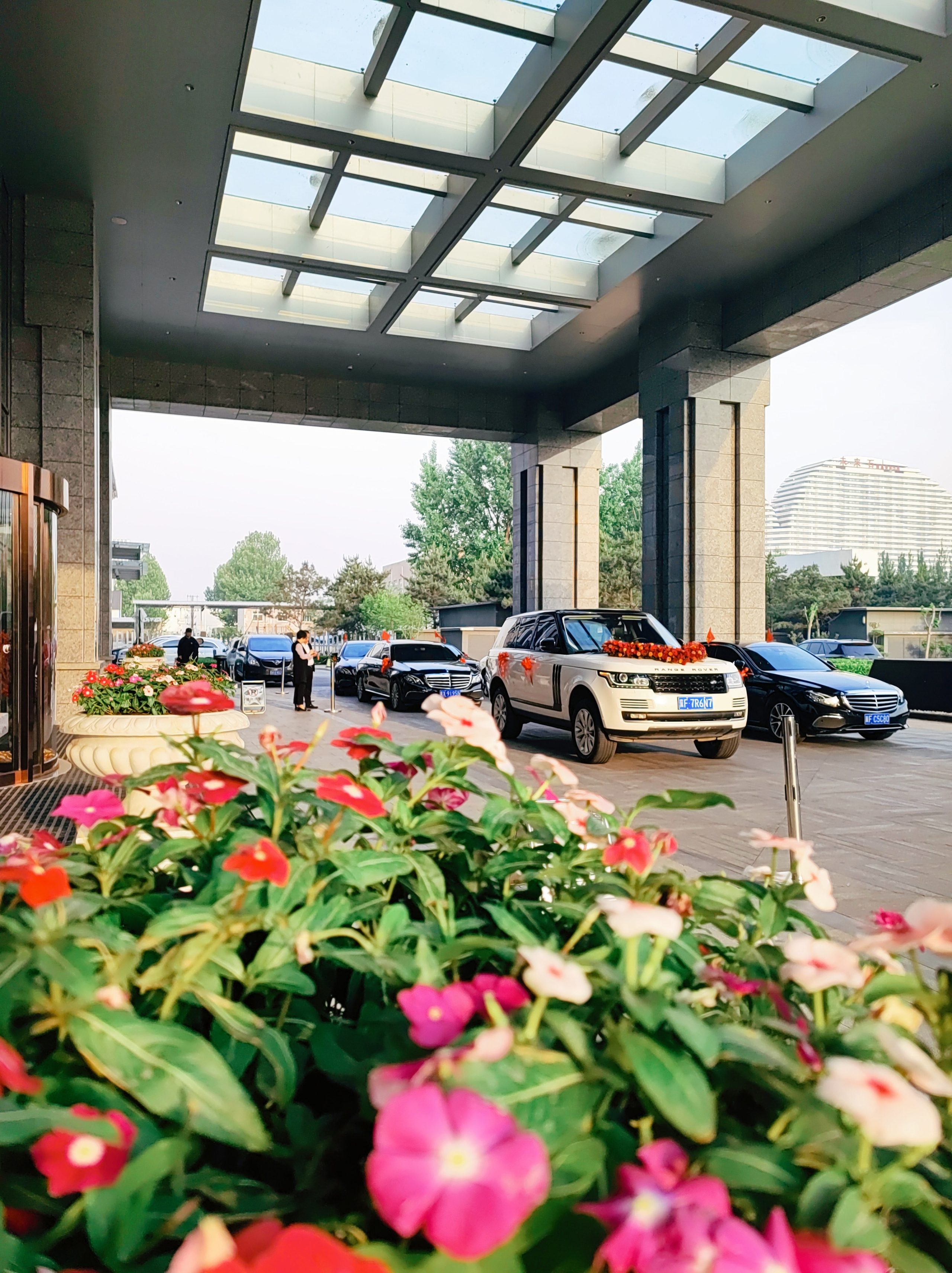 Намобилкус китайский. Репортажный фотограф Алексей Пирязев