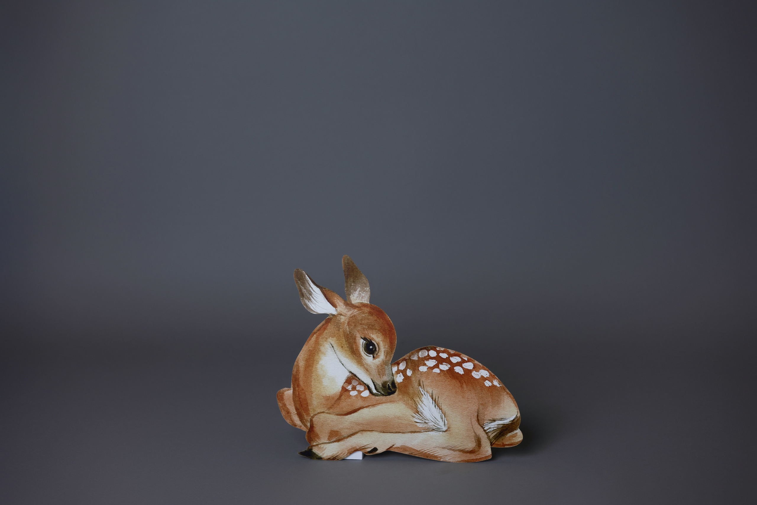 Реквизит студии