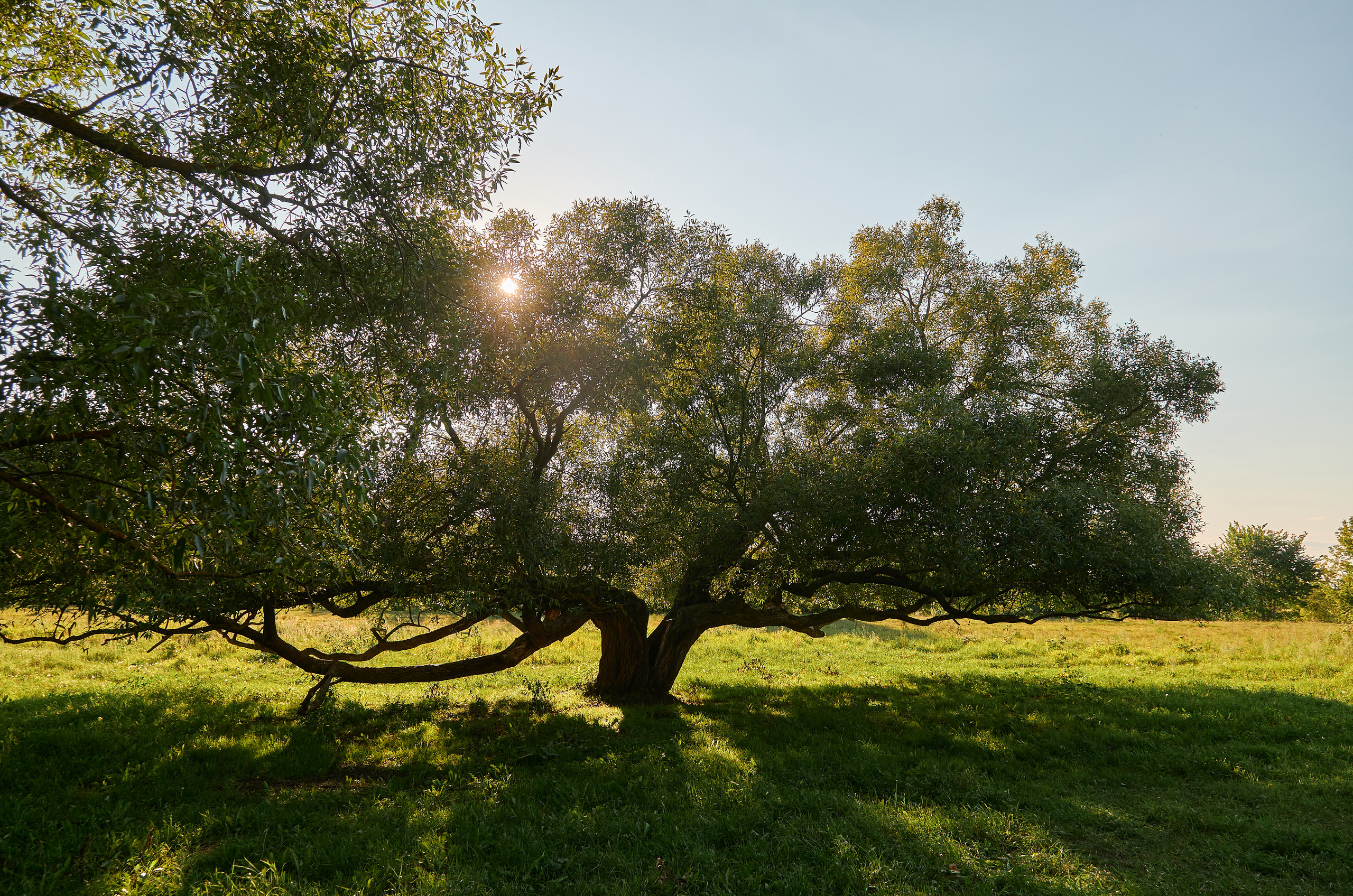 Серёжа и Настя. Фотограф Евдокимов Никита. Тамбов, Москва