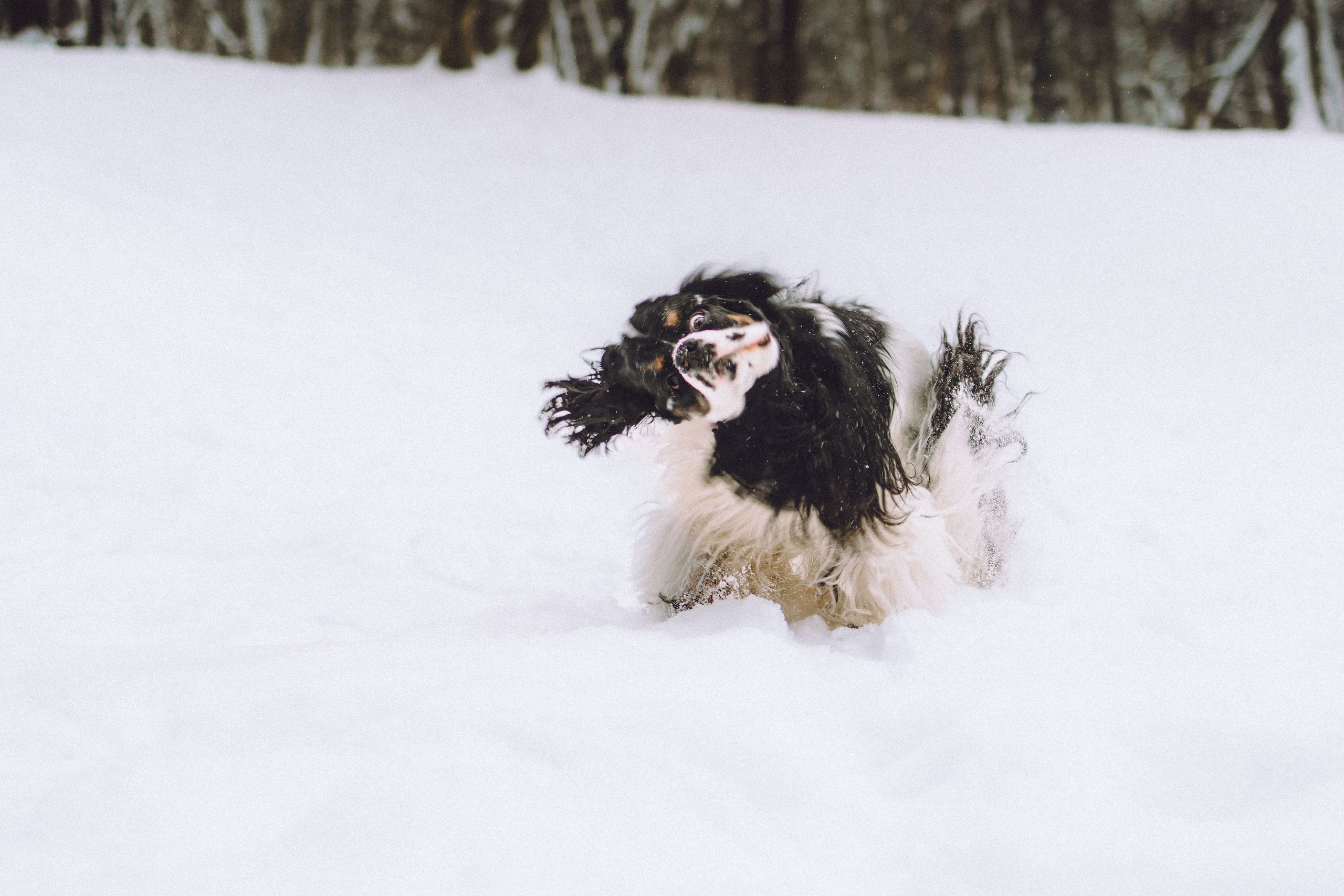Ольга и Патрик