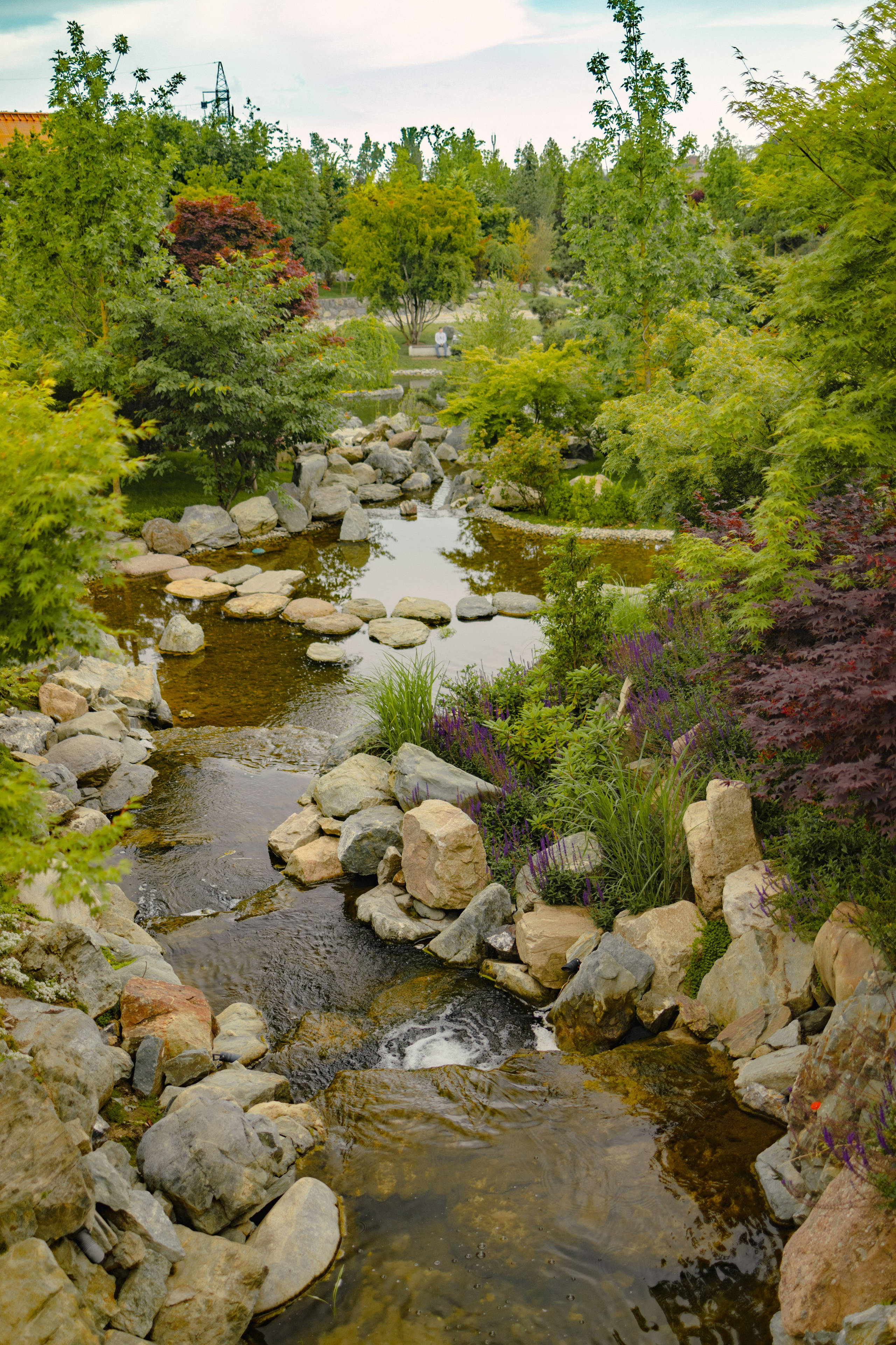 Японский сад в Краснодаре. Профессиональный фотограф и видеооператор