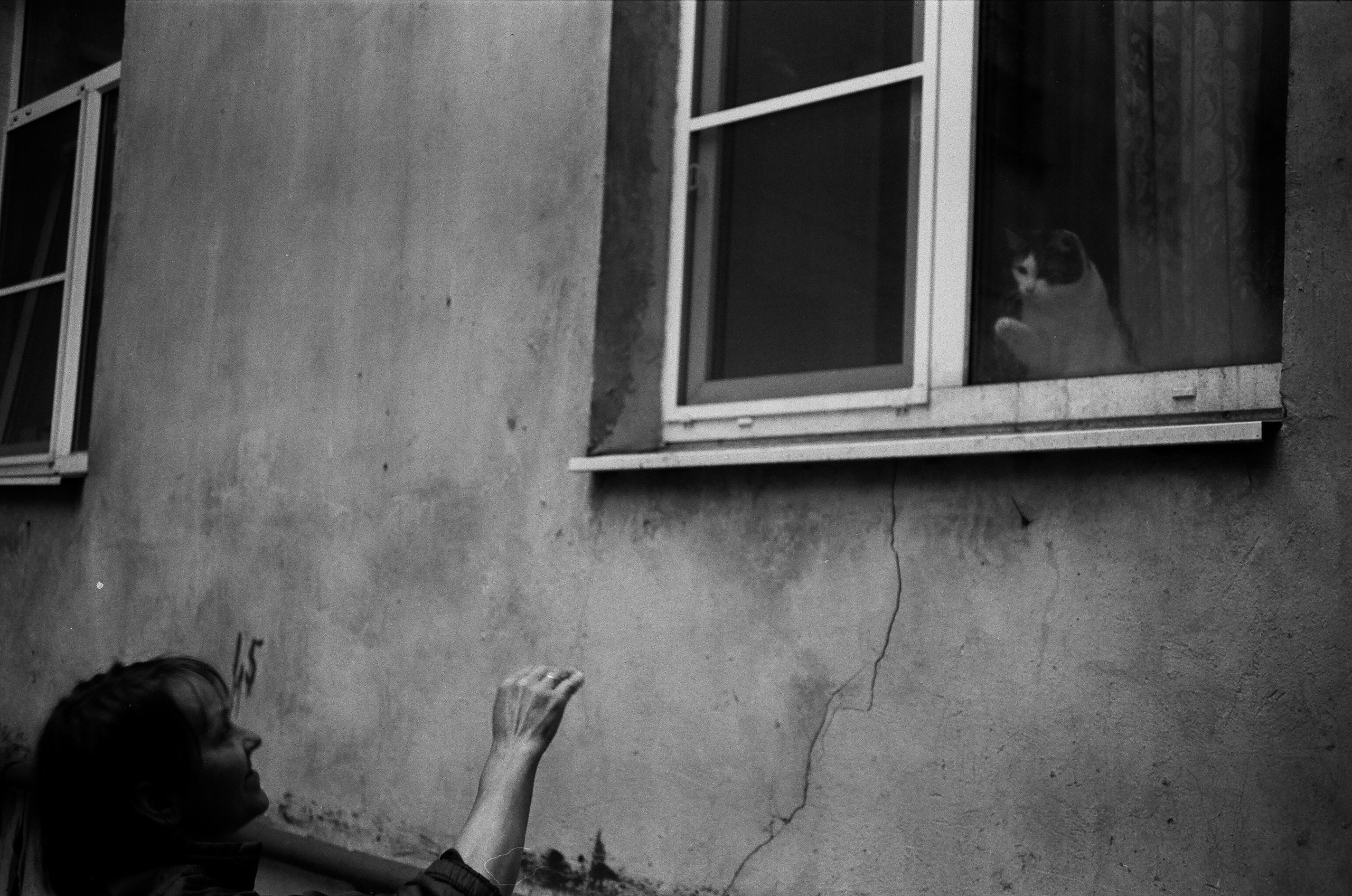 Портреты с Доном