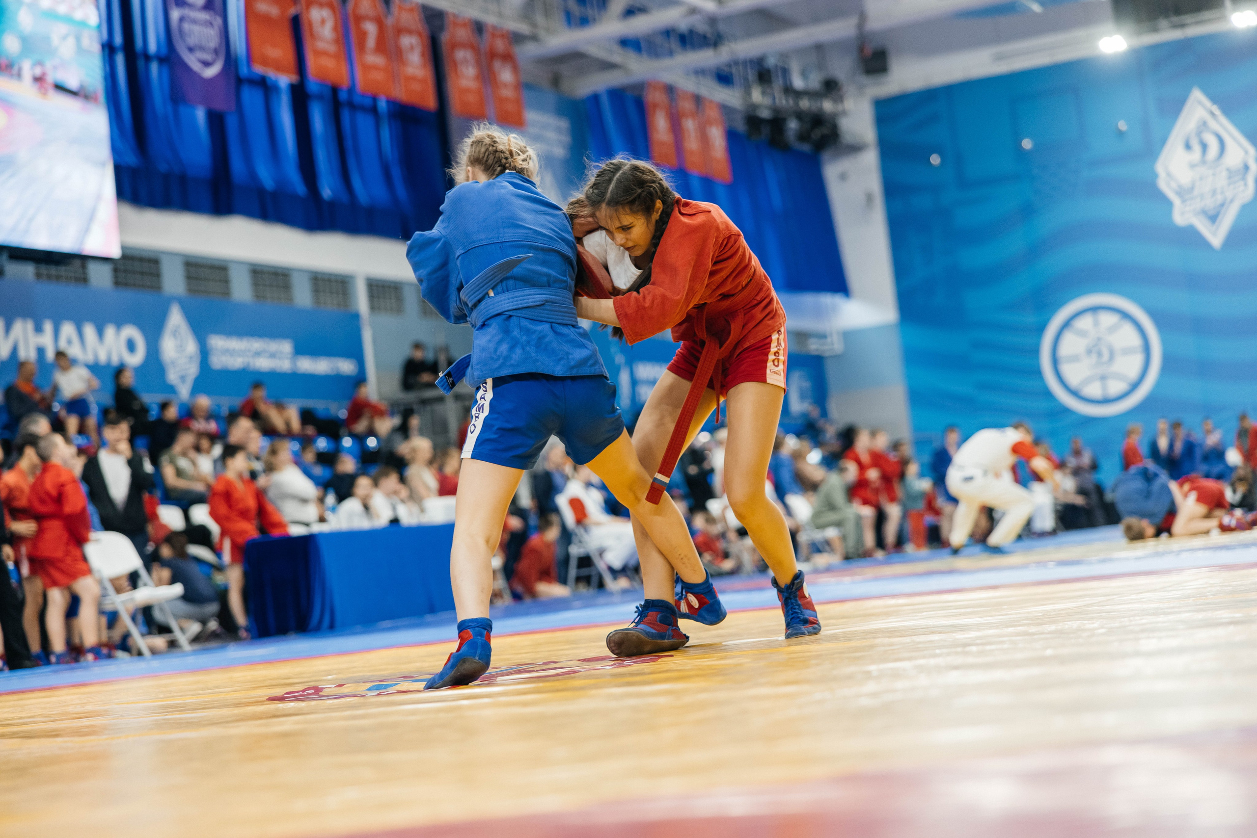 Sambo Championship. Maxim Tsoy Photography
