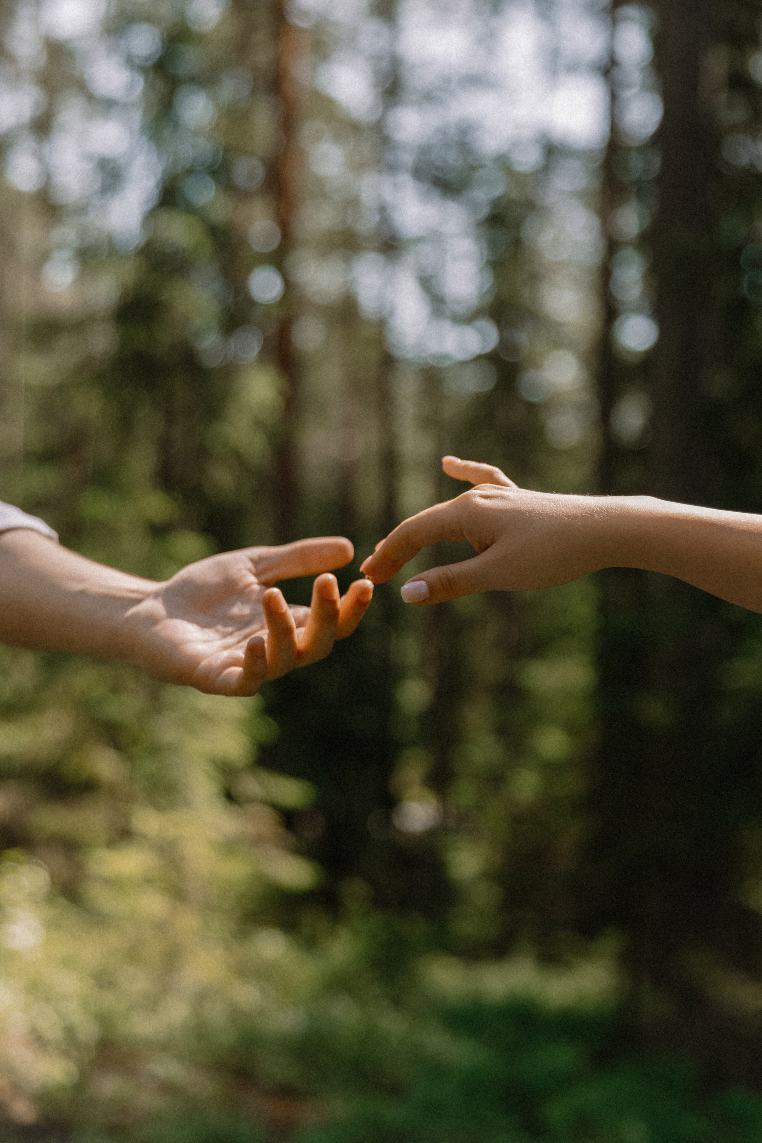 Карина + Дима: банкет. Николь — ваш любимый фотограф в Санкт-Петербурге