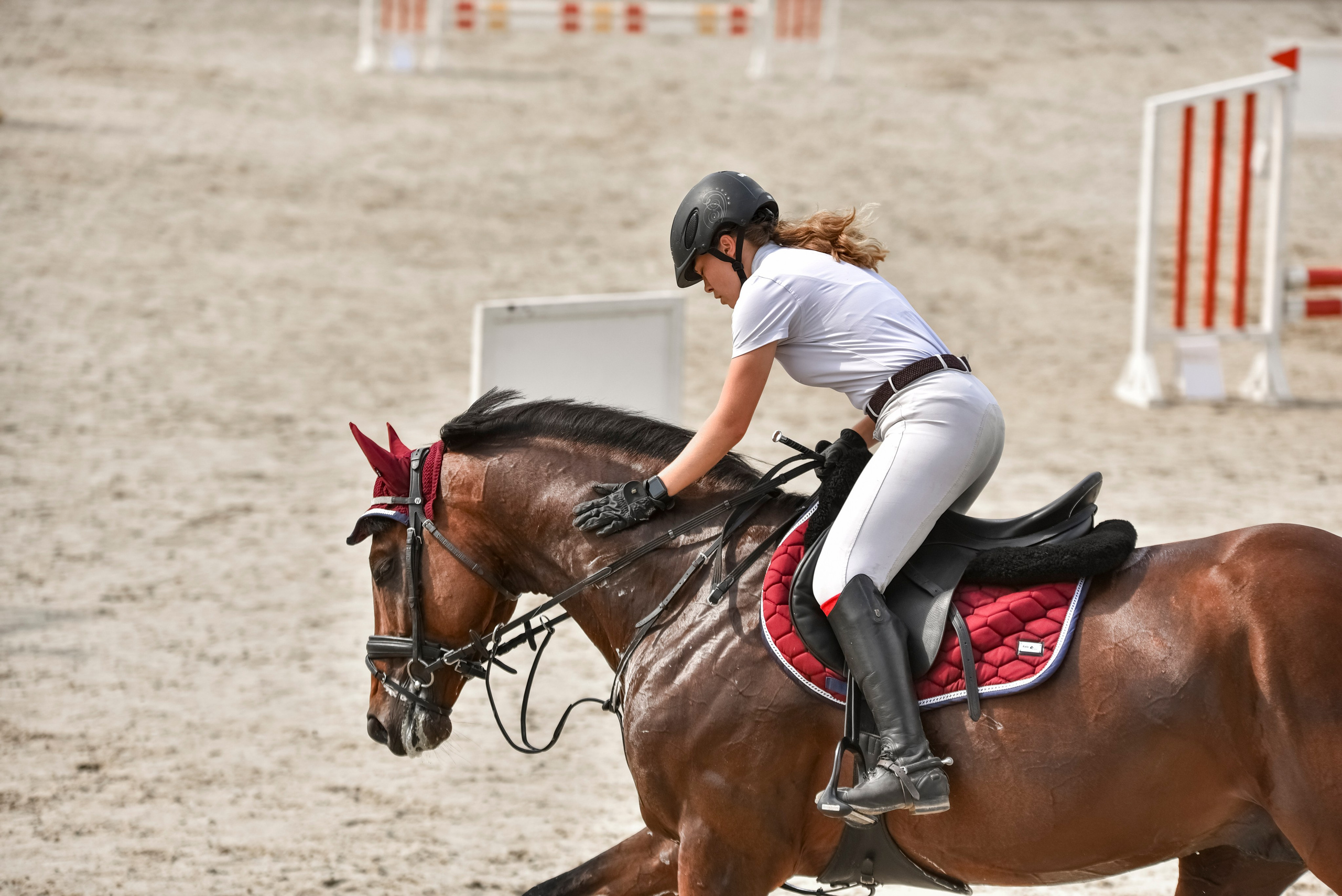 Репортажная съемка конных мероприятий. Конный фотограф из Москвы Ирина Бондаркова