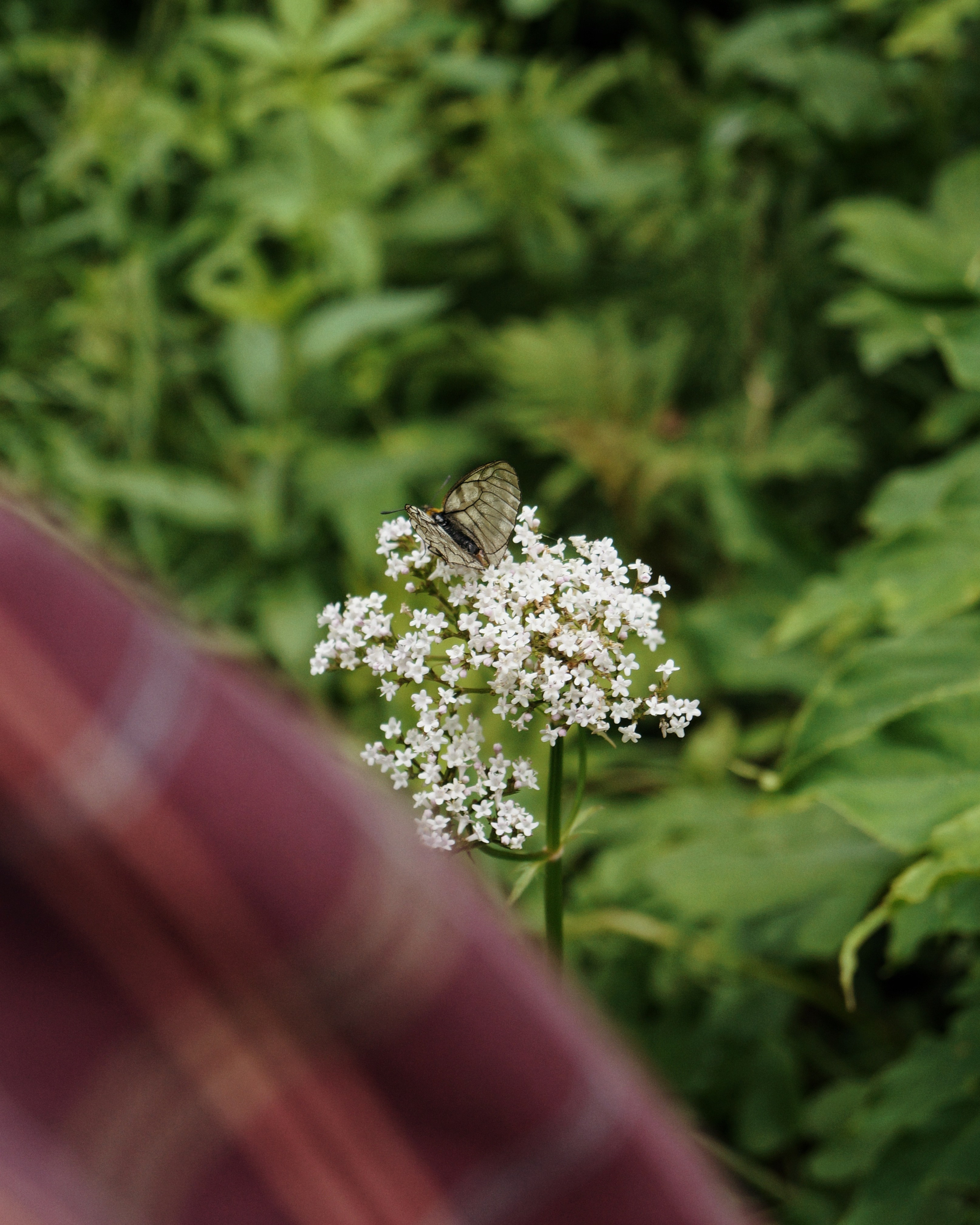 Путешествия. YUULETAAAA