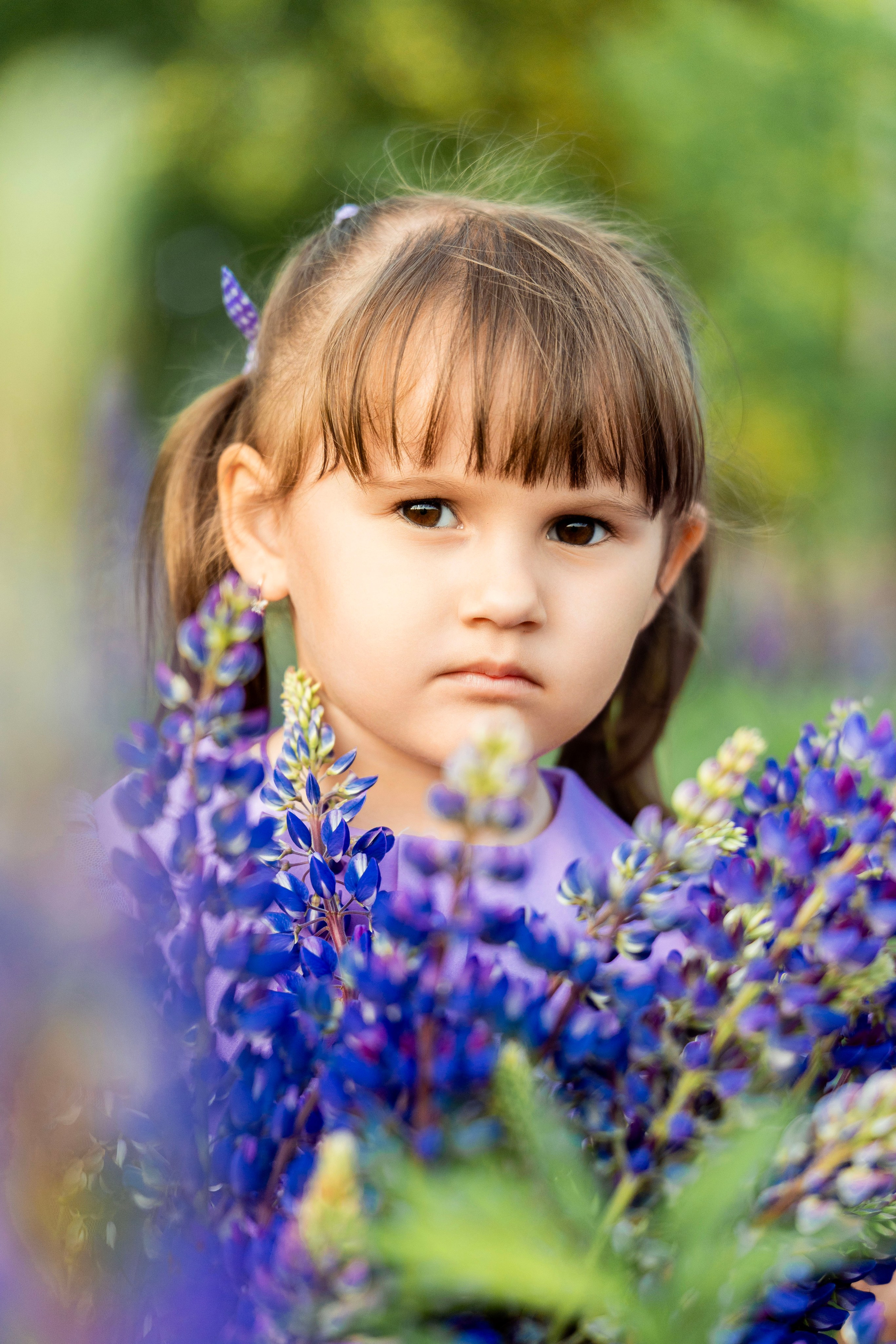 Люпины. Фотограф Юлия Попова